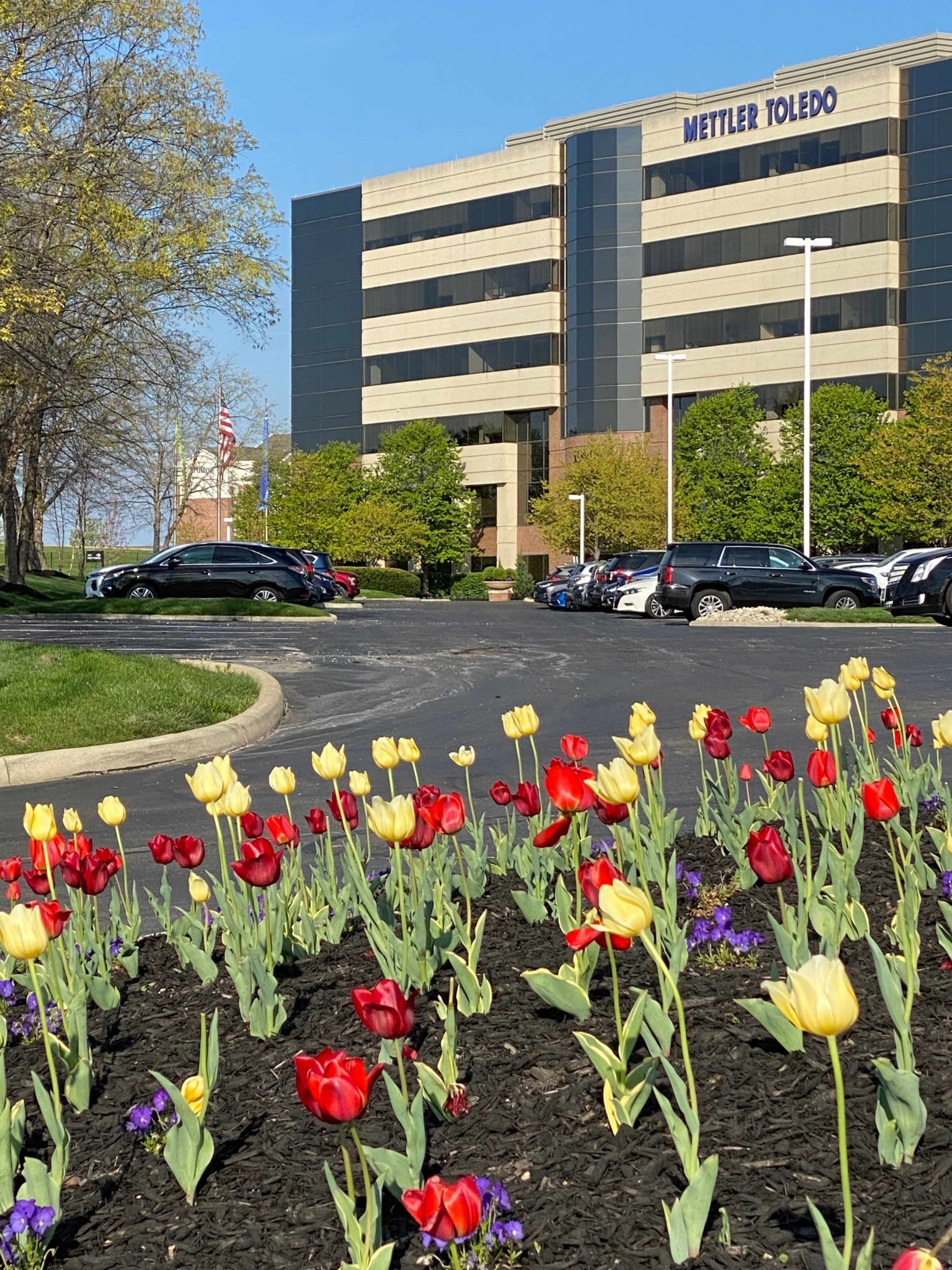 A landscaped area with red and yellow tulips in the foreground contrasts with a modern office building and parking lot in the background.