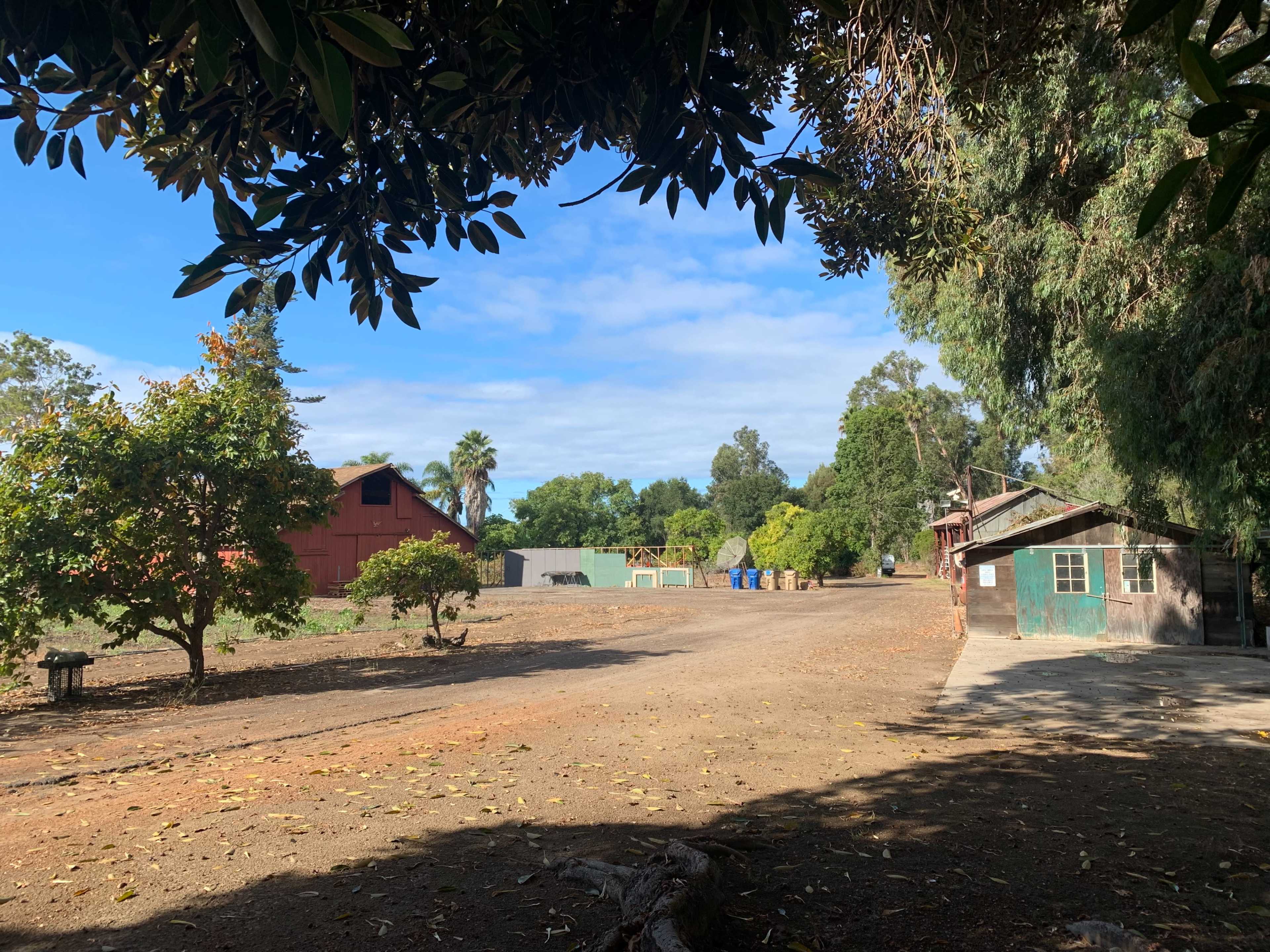 A dirt pathway leading to buildings surrounded by trees in a rural setting.