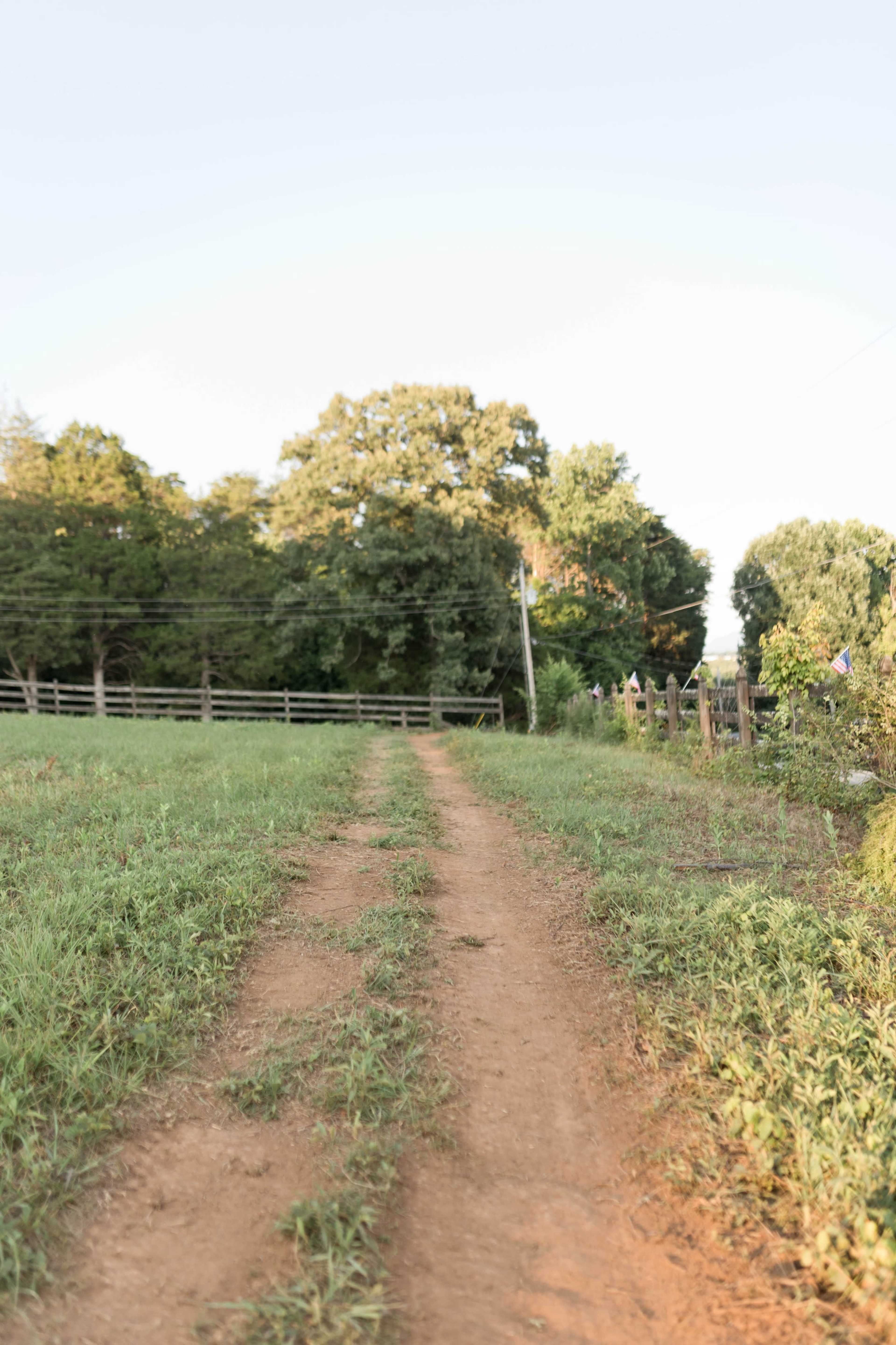 A dirt path winds through grassy land, bordered by a fence and trees on either side.