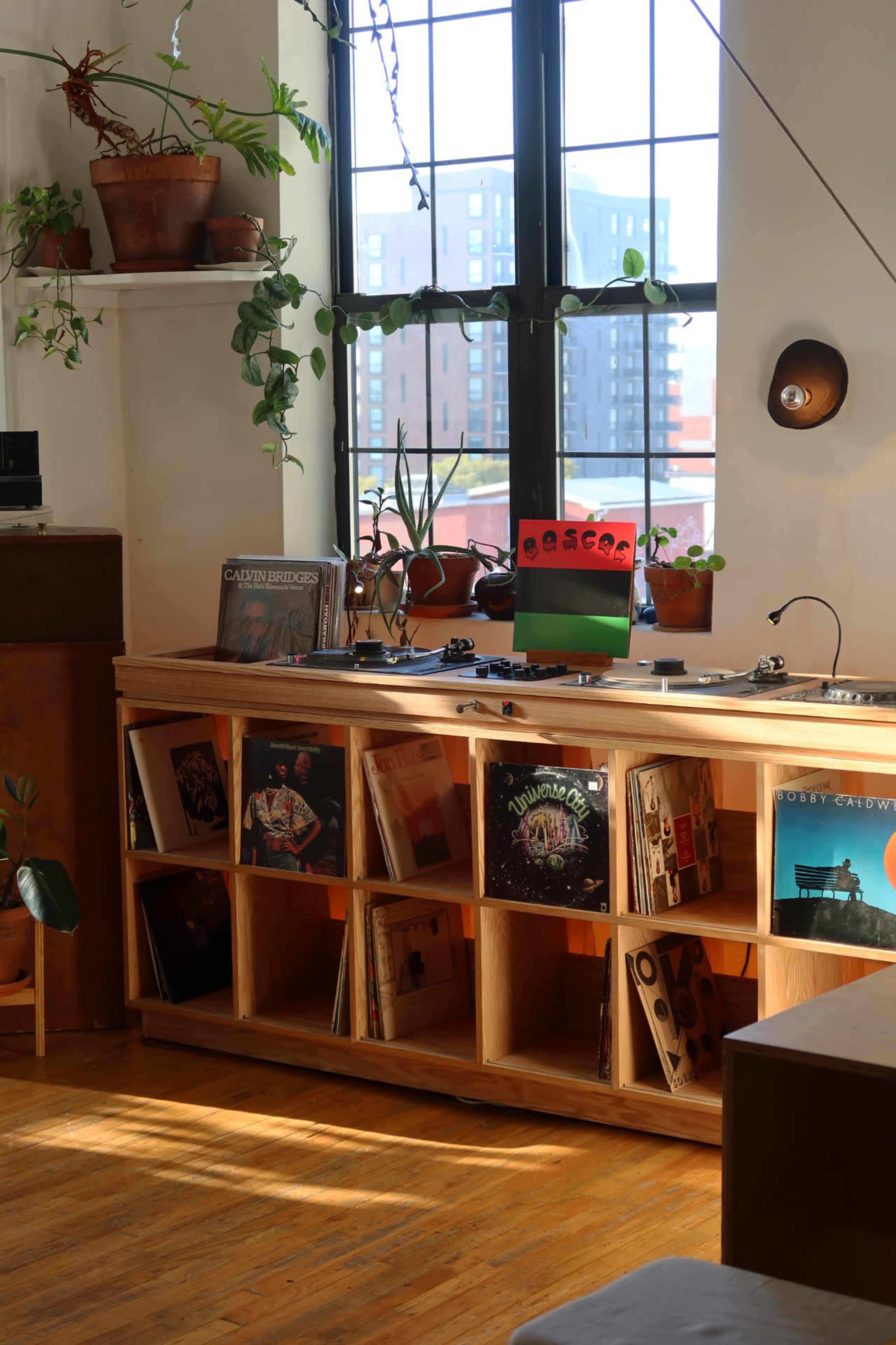 A wooden shelf holds various vinyl records, with plants and a colorful display in front of a large window that overlooks a cityscape.