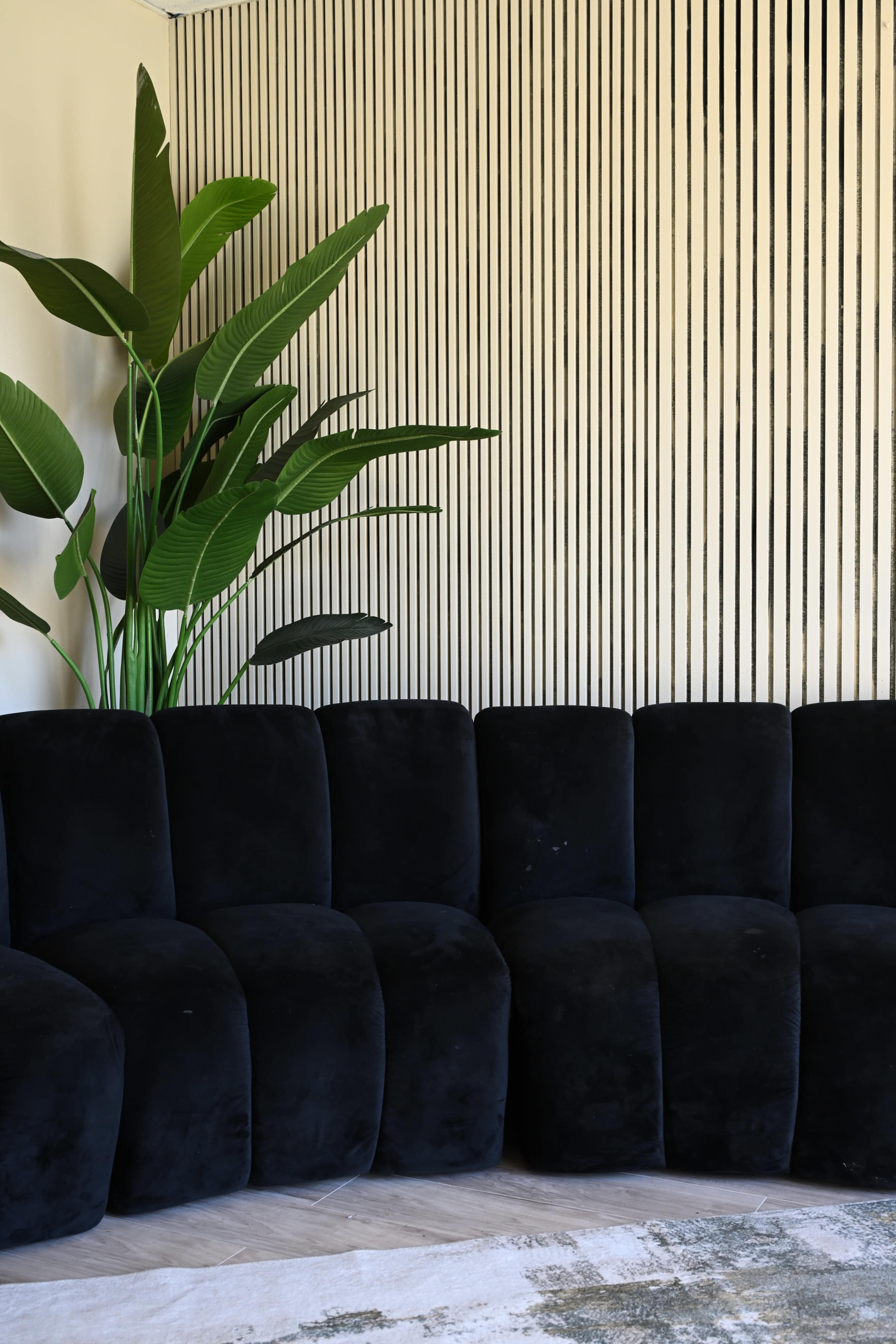 A dark, plush sectional couch is positioned against a wall featuring vertical wooden slats, accompanied by a large leafy plant in the corner.
