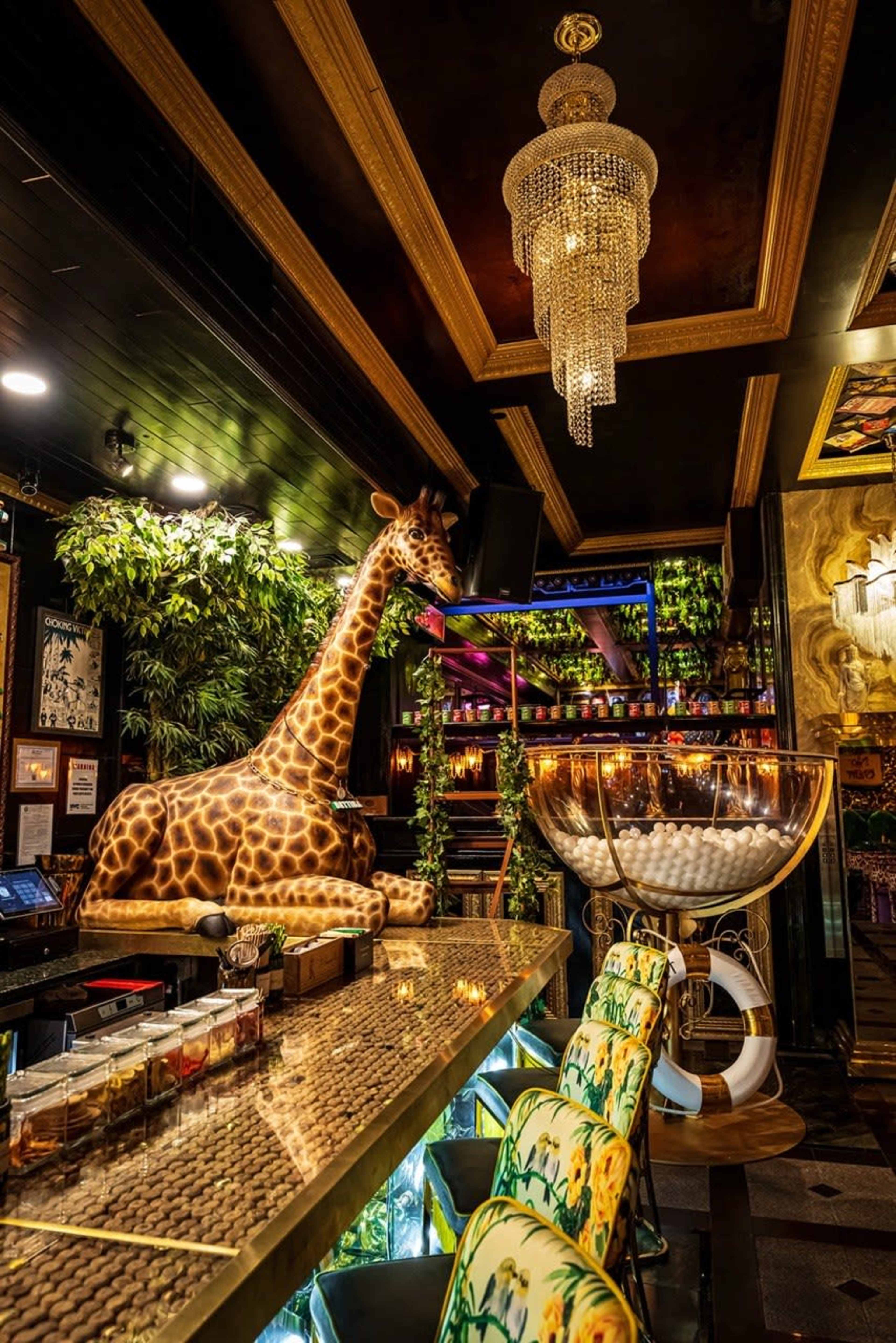 The image shows a vibrant bar interior featuring a life-sized giraffe statue, a large decorative glass bowl, and ornate lighting against a backdrop of greenery and colorful decor.