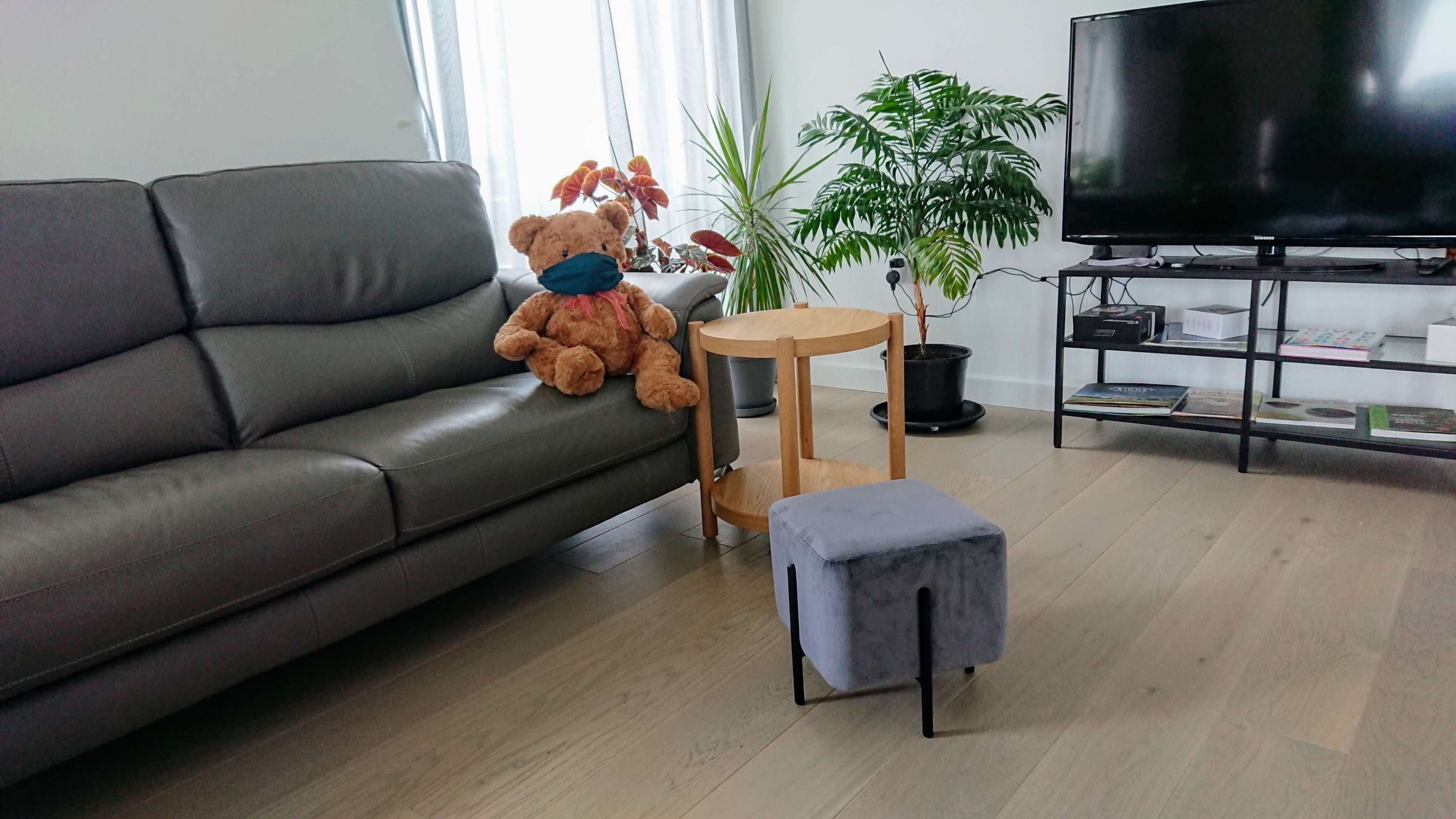 A gray sofa with a teddy bear sitting on it is positioned next to a small wooden table and a potted plant, while a television stands on a black stand across from the seating area.