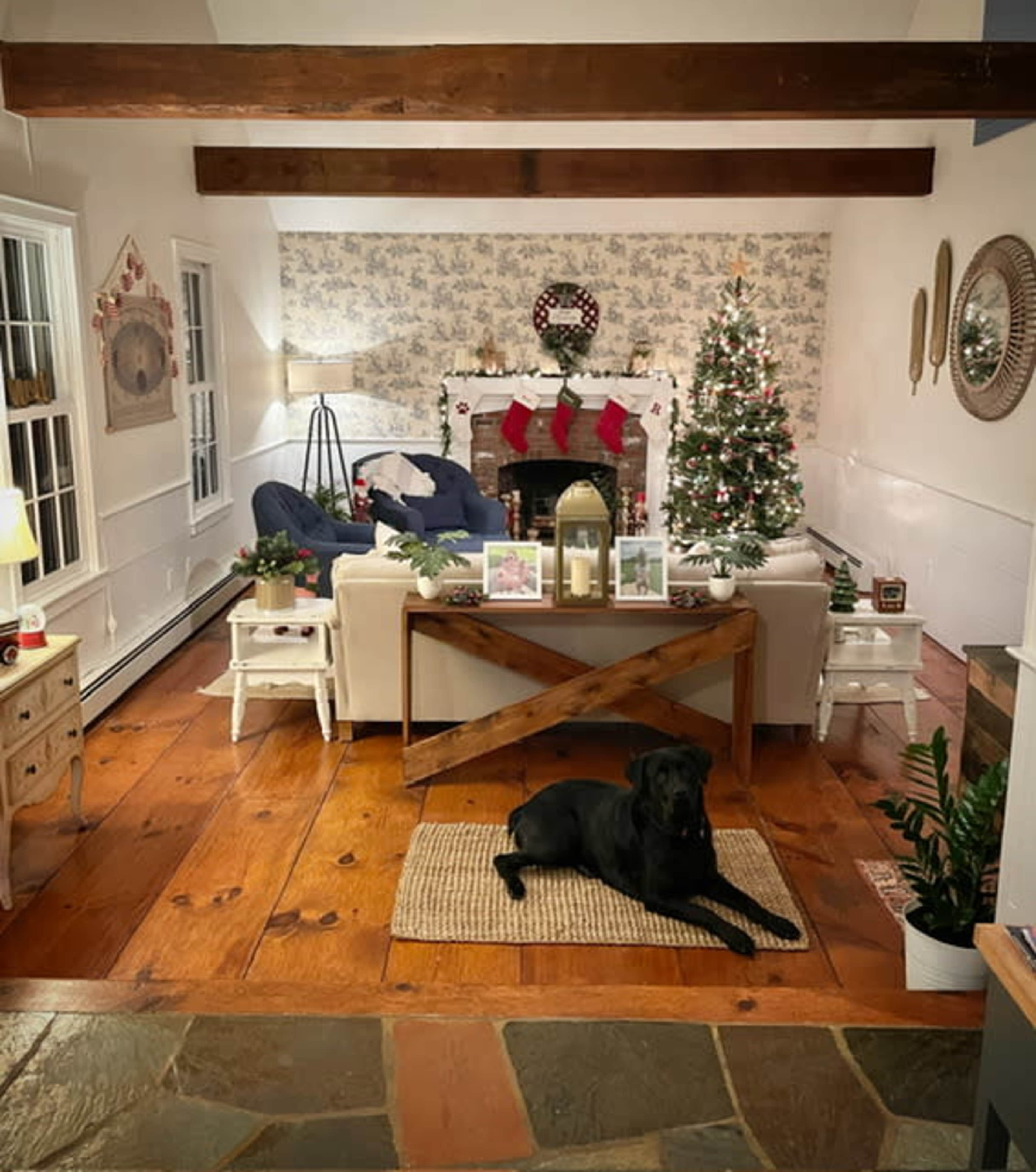 A cozy living room features a white couch, a festive Christmas tree, and a black dog resting on a woven rug.