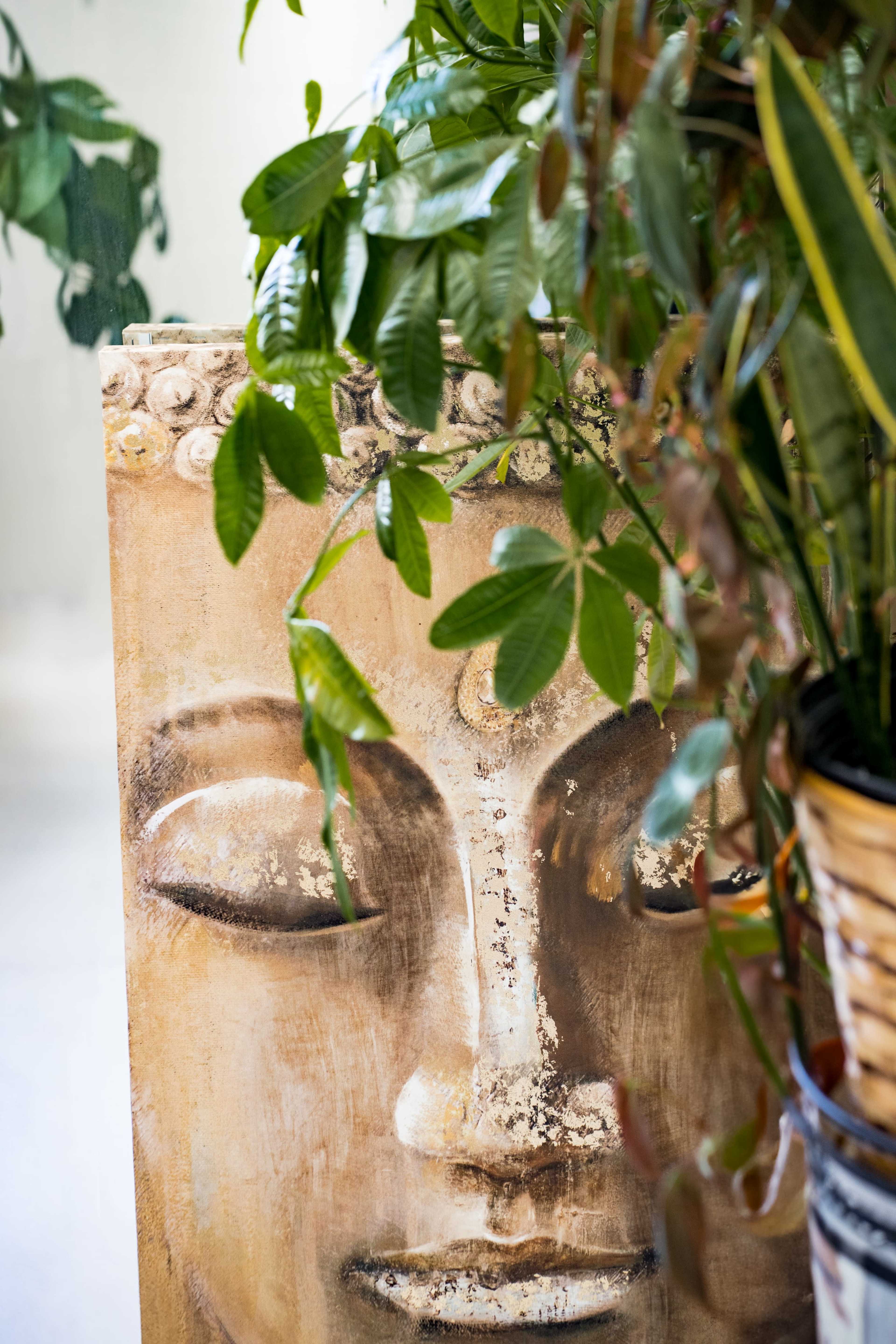 Versatile Plant Studio for Content Creators, Team Meetings, and Workshops Image in Lakewood Heights, Atlanta, GA