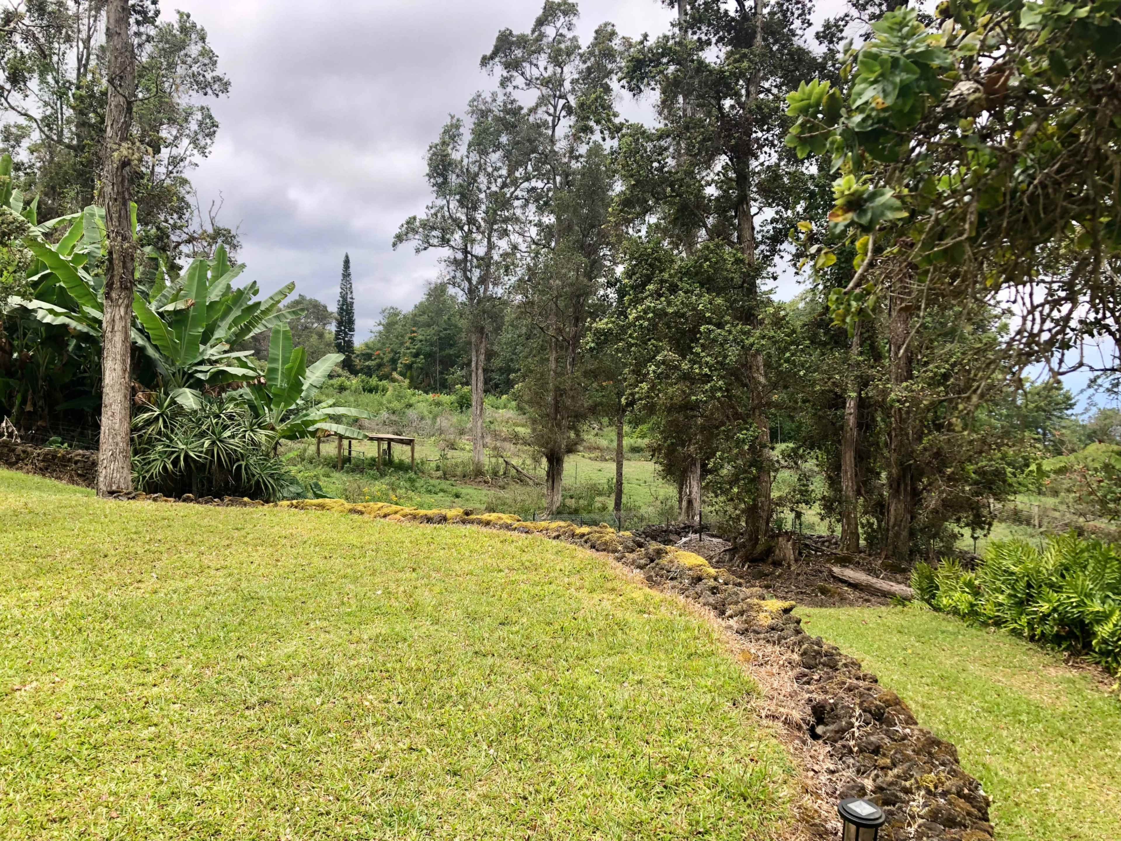A grassy area bordered by a rock pathway, surrounded by tall trees and tropical plants in a rural landscape.