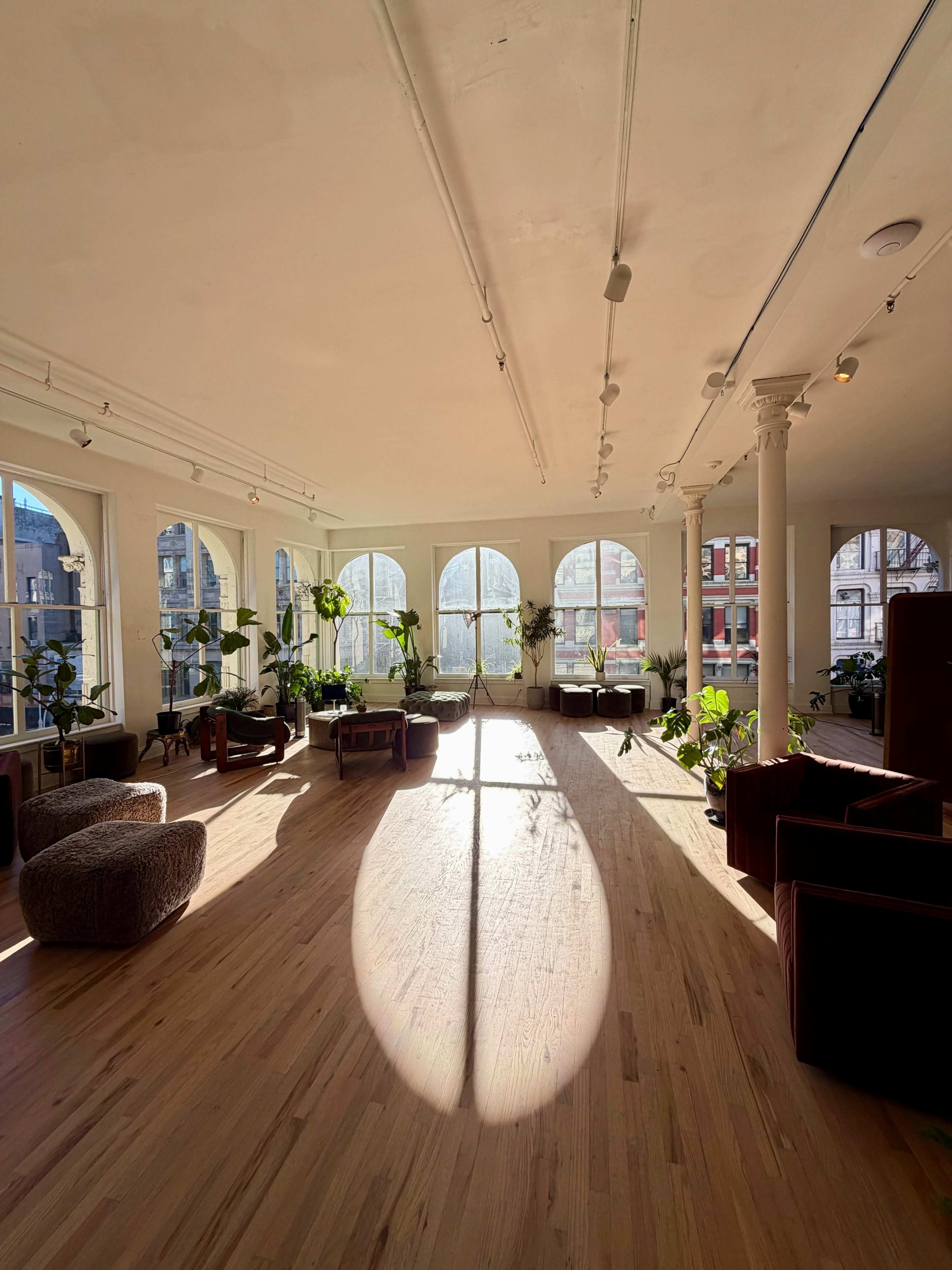 The image shows a spacious, sunlit room featuring large arched windows, wooden floors, and several plants arranged throughout.