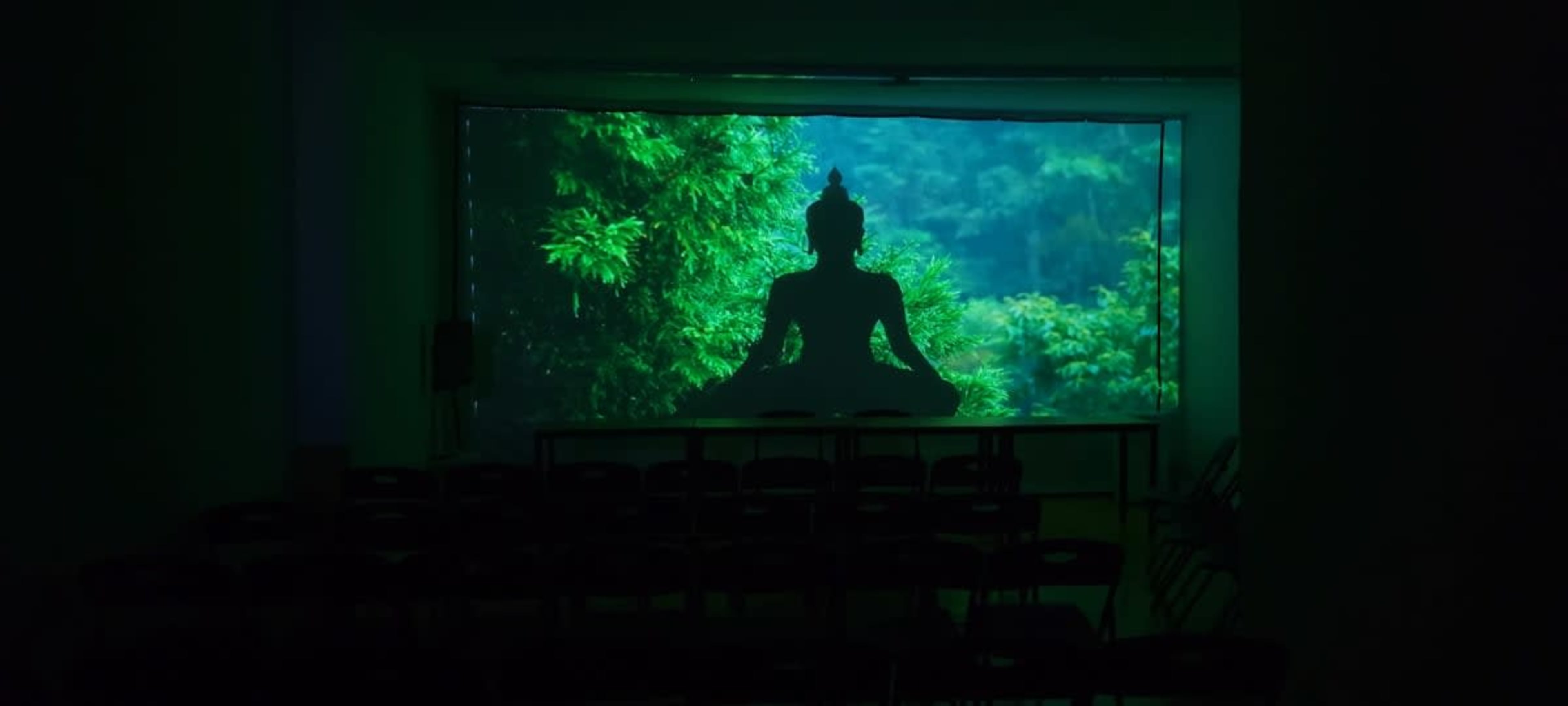 A silhouette of a Buddha statue is projected against a green, leafy background in a dimly lit room with empty chairs.