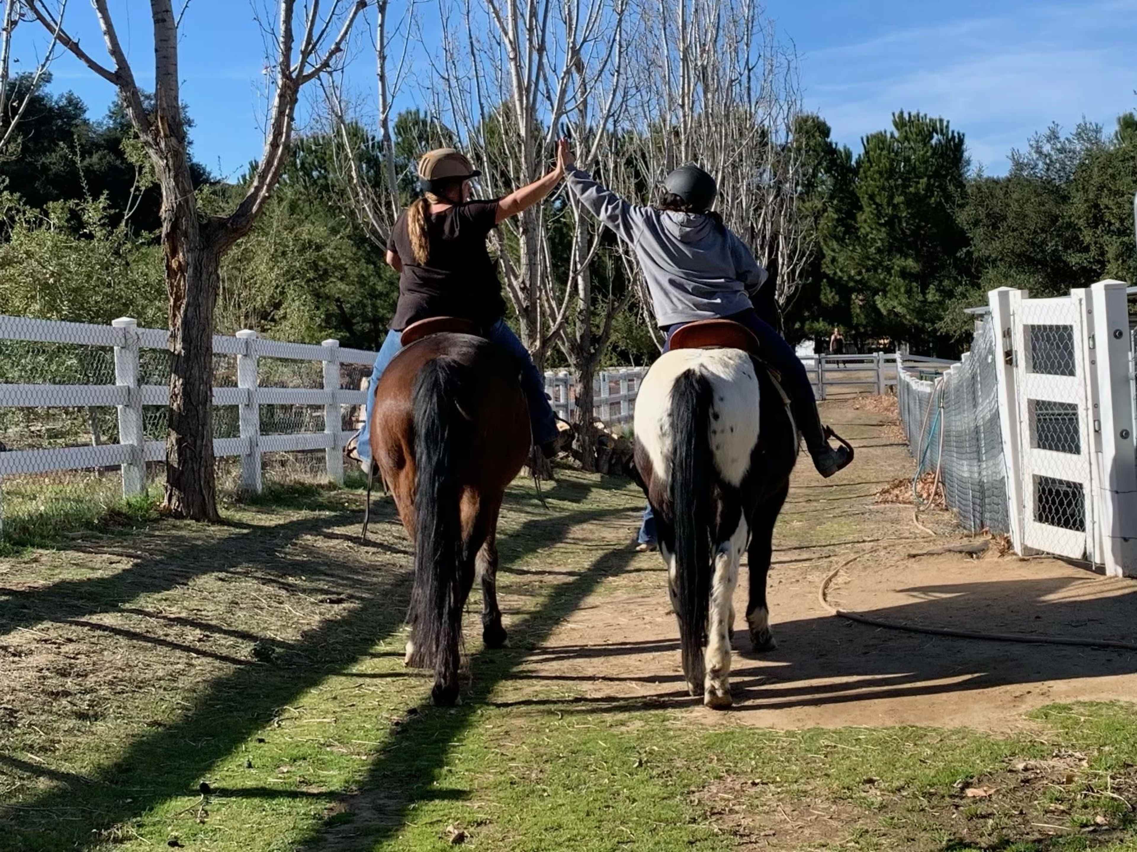 Two riders on horseback are walking along a path, raising their hands in celebration as they pass by a fence lined with bare trees.
