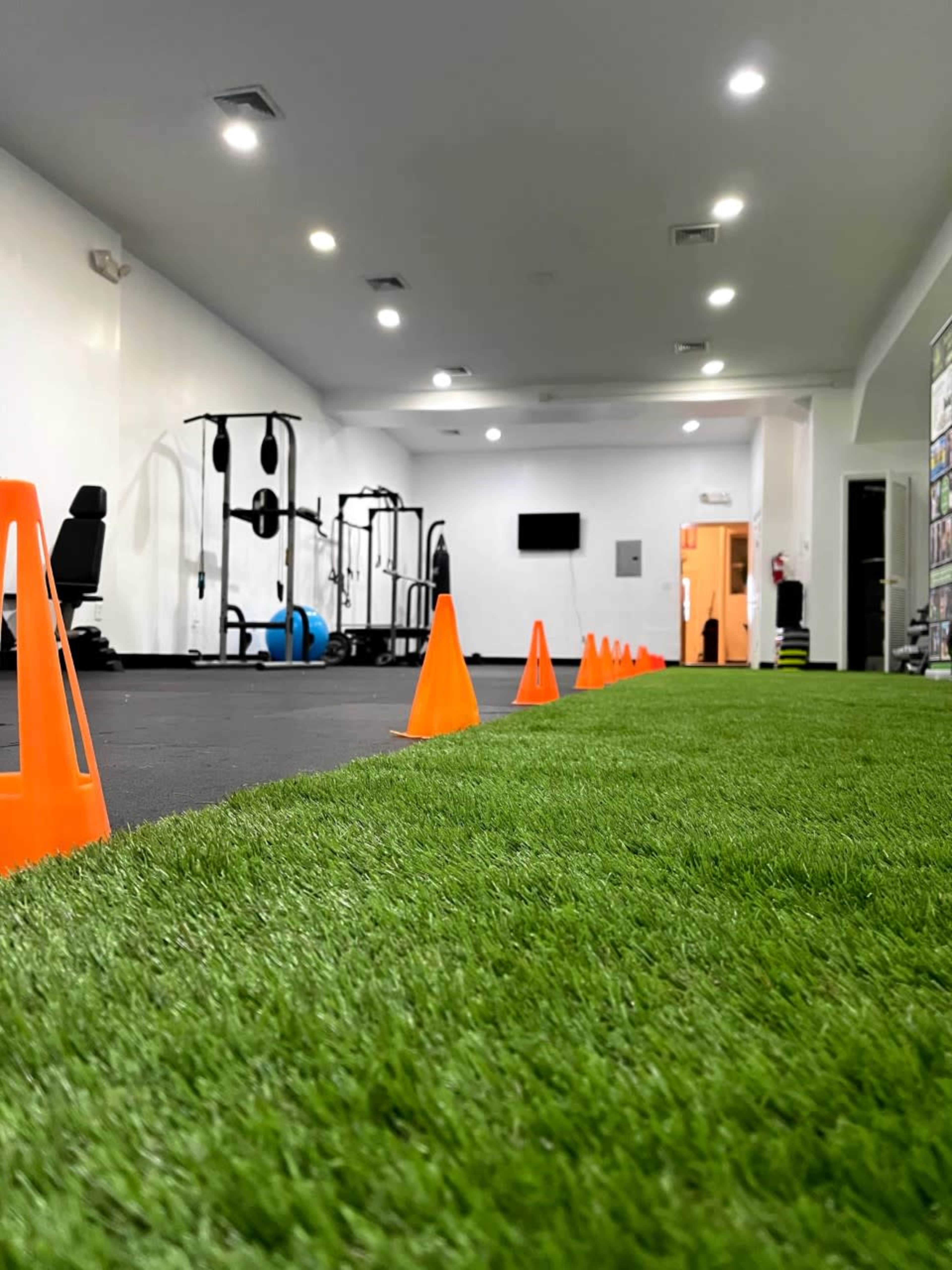 A fitness room with artificial grass flooring and orange cones arranged in a line, alongside various exercise equipment.