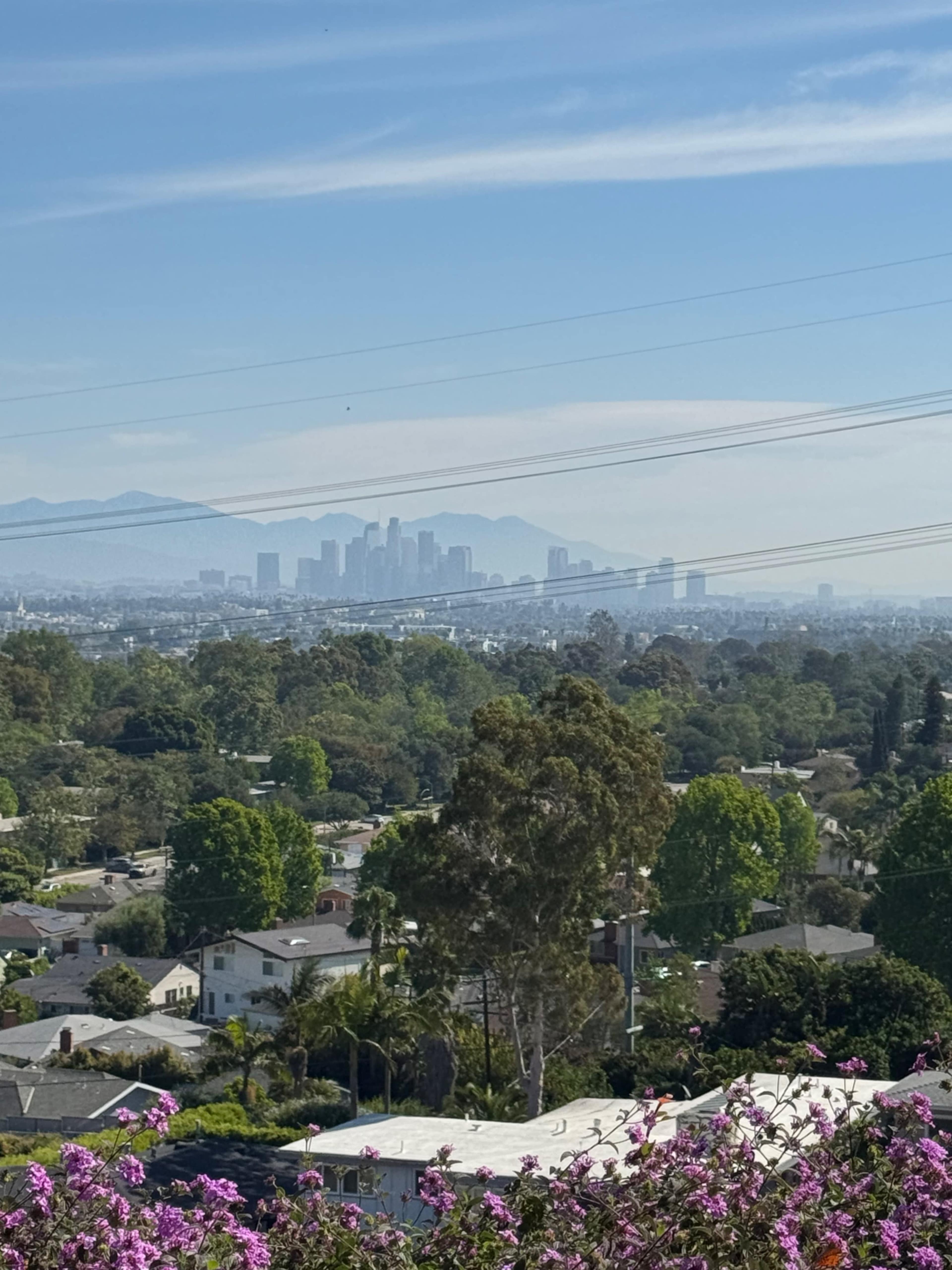 The image shows a distant view of the Los Angeles skyline with mountains in the background, framed by greenery and houses in the foreground.