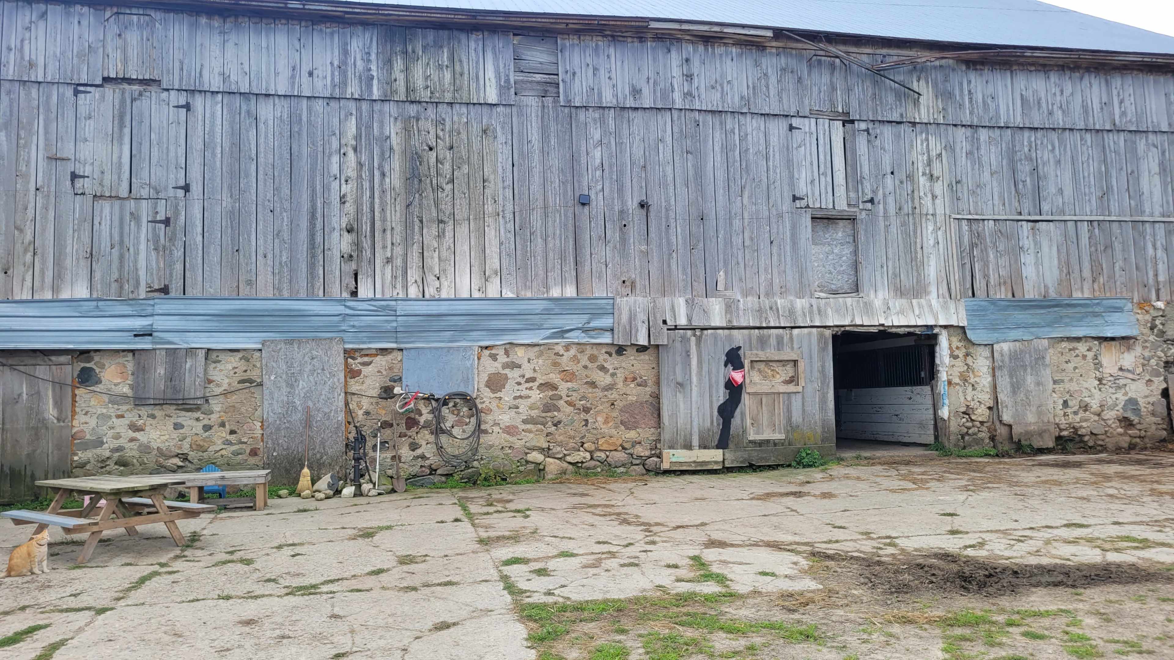 A weathered wooden barn with stone walls and a partially open door reveals a paved area with a picnic table and tools.