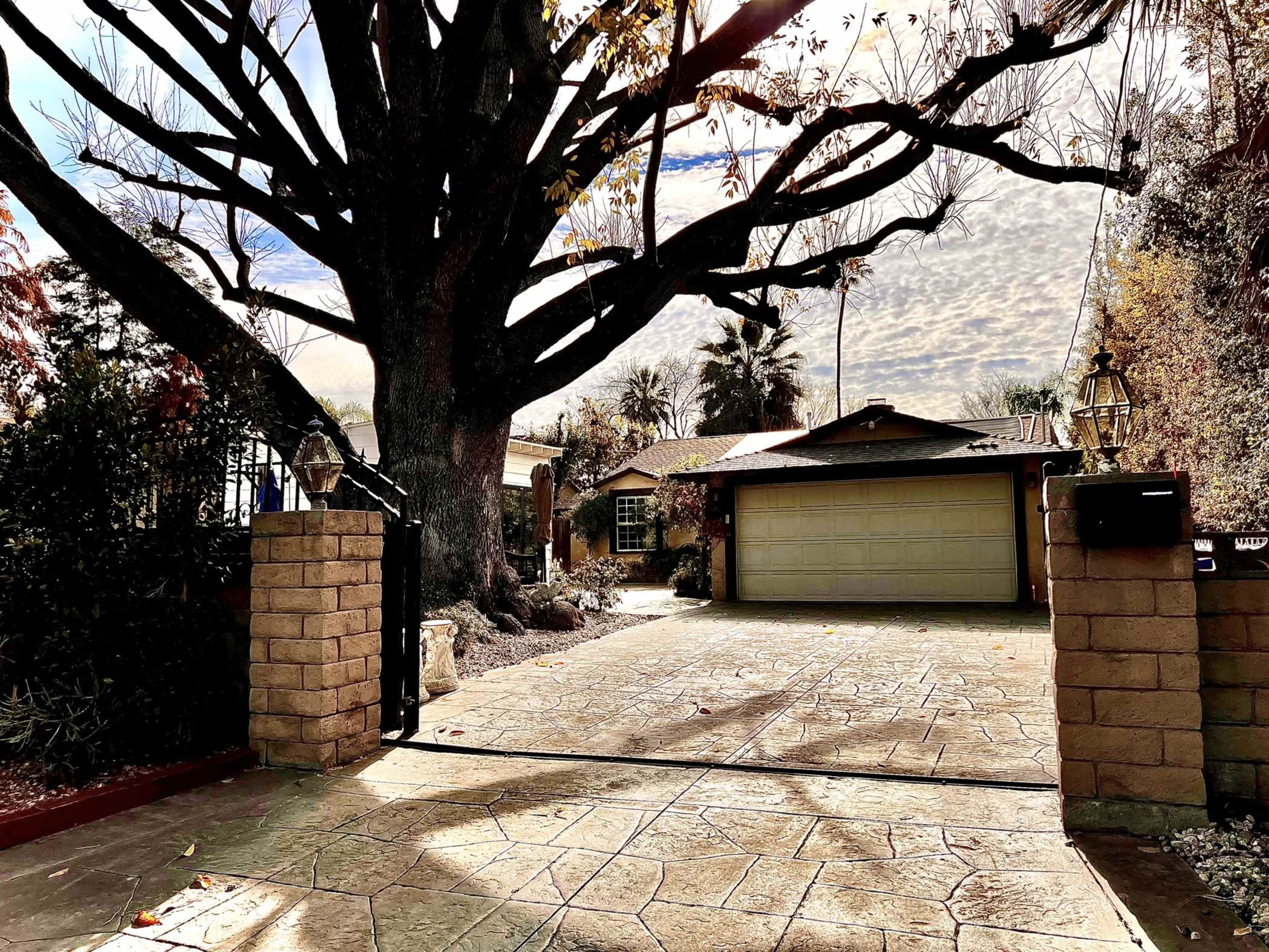 A large tree with sprawling branches stands near a gated driveway leading to a house with a garage.