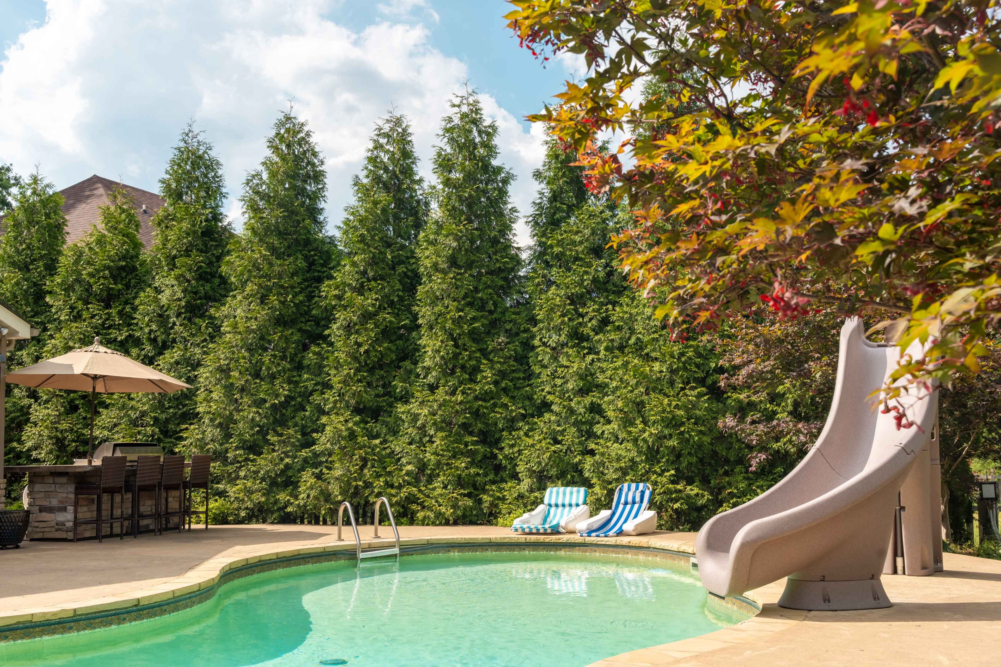 A backyard pool area featuring a large water slide, two lounge chairs, and an umbrella-shaded dining set surrounded by tall greenery.