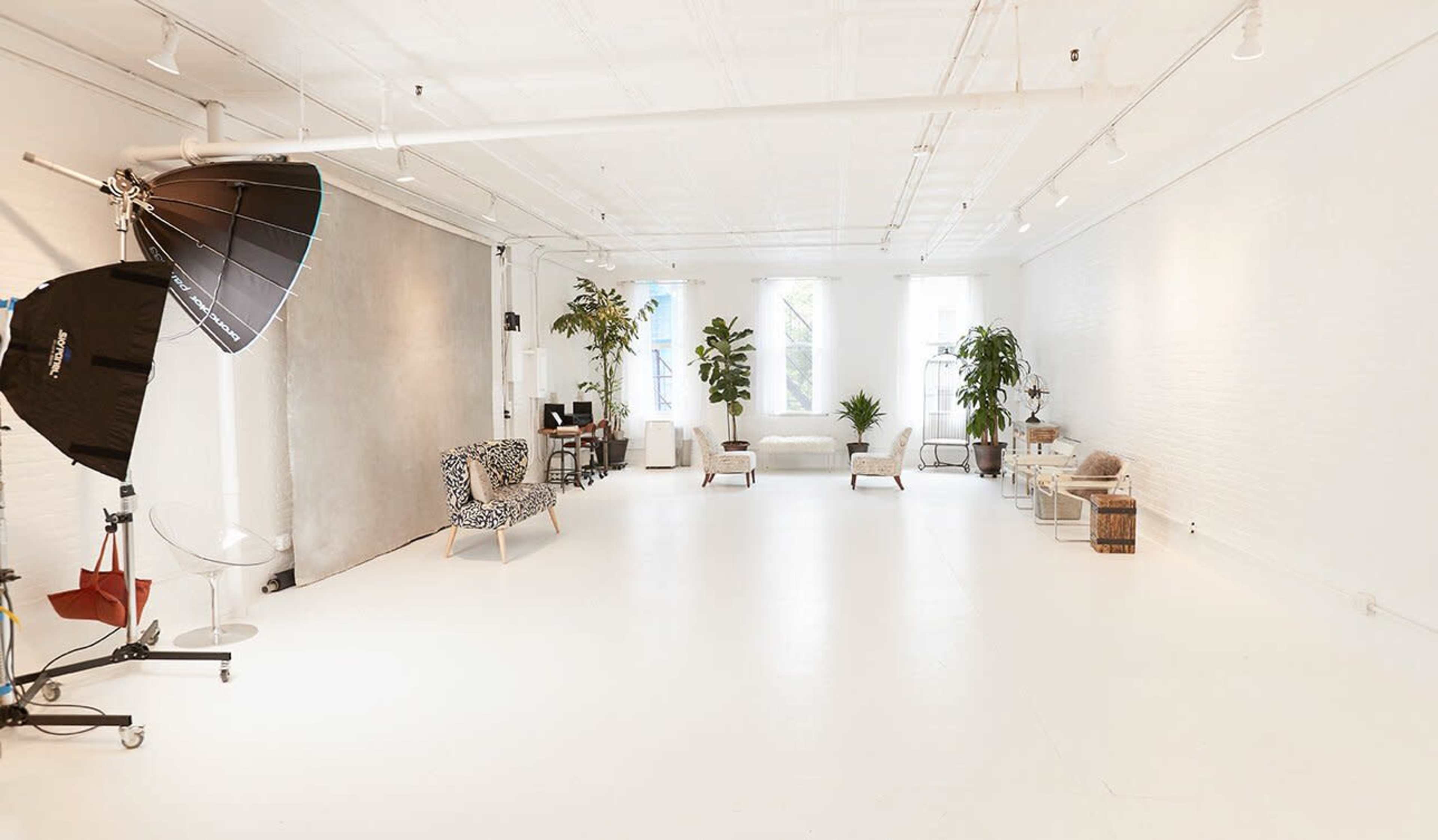 The image shows a bright, spacious studio with white walls, a white floor, and various seating arrangements, including chairs and sofas, alongside several plants.