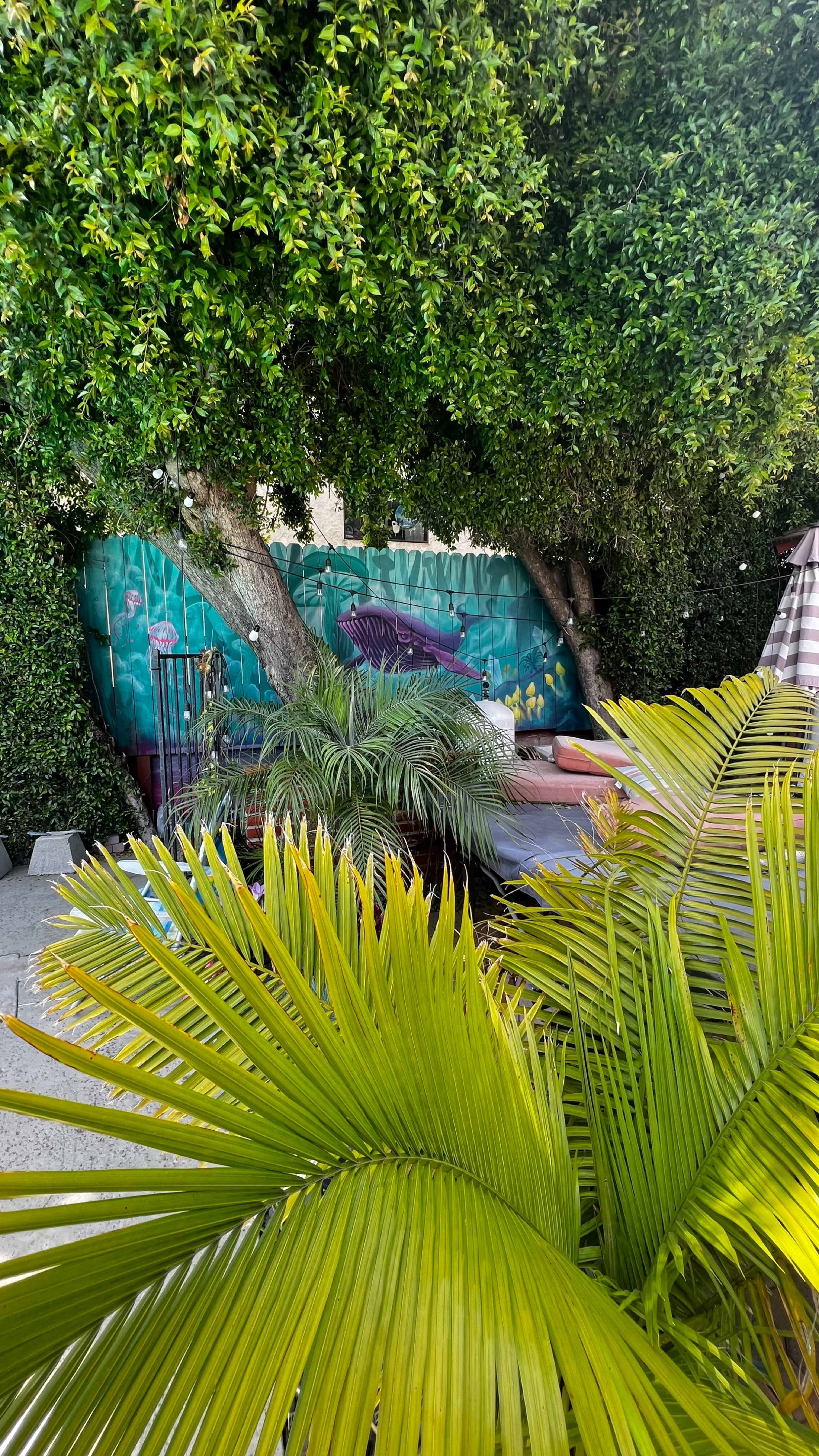 A lush garden scene features a large palm frond in the foreground, a tree with dense foliage, and a colorful mural in the background.