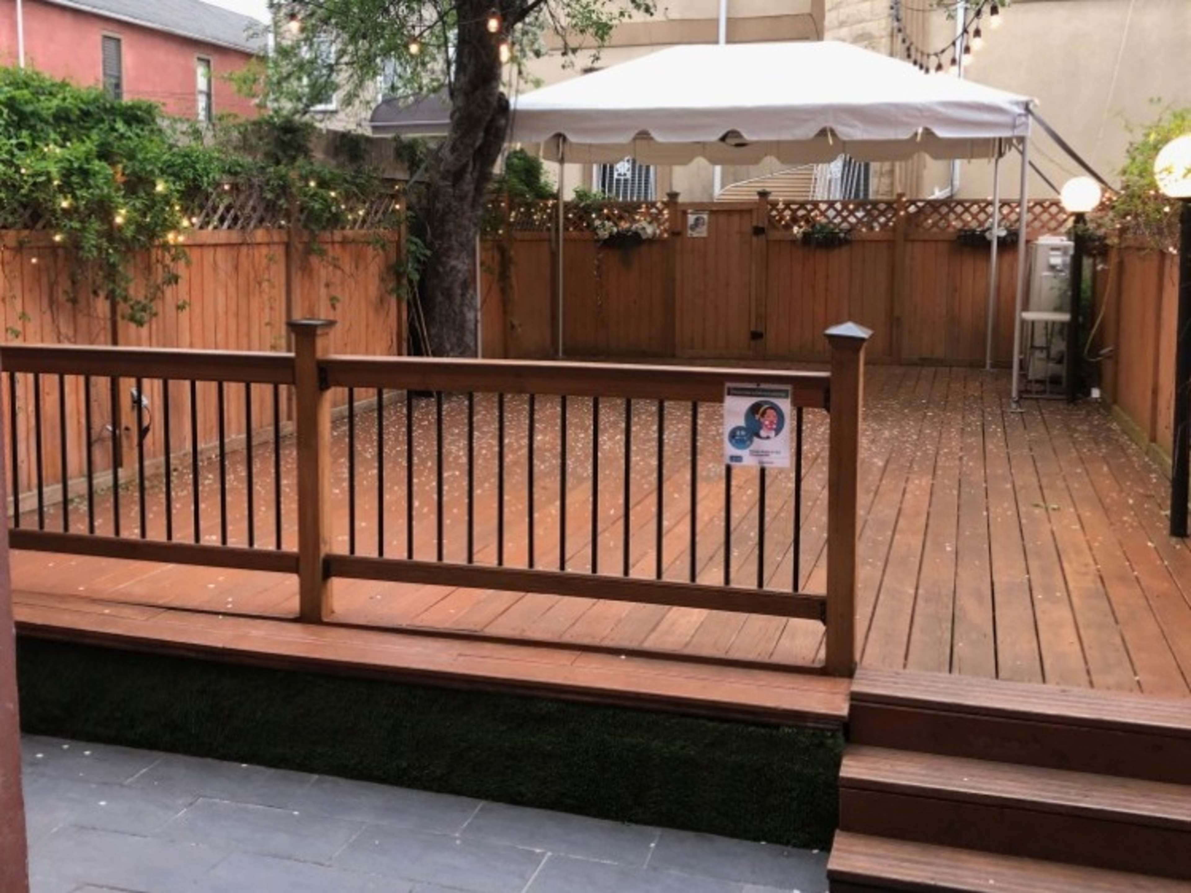Backyard