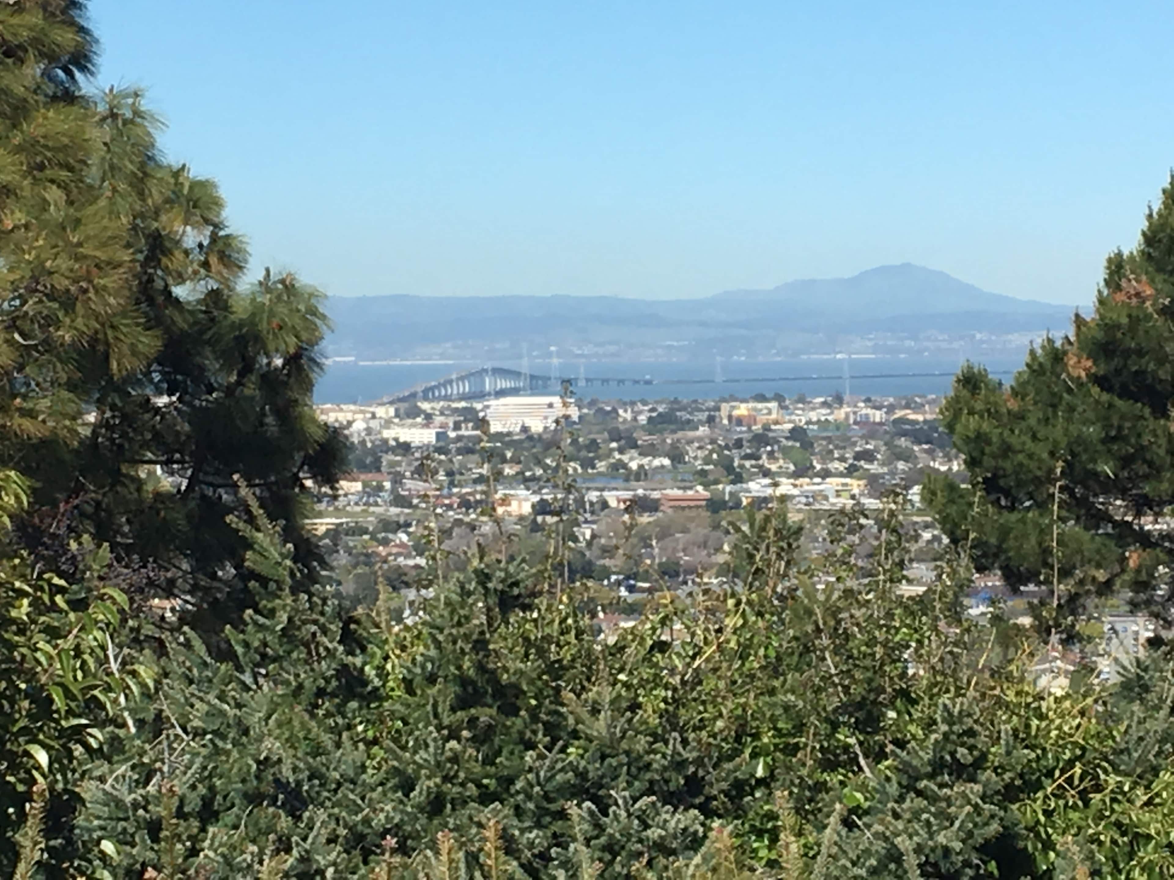 A panoramic view of a cityscape with a bridge spanning across a bay, framed by greenery in the foreground and mountains in the background.