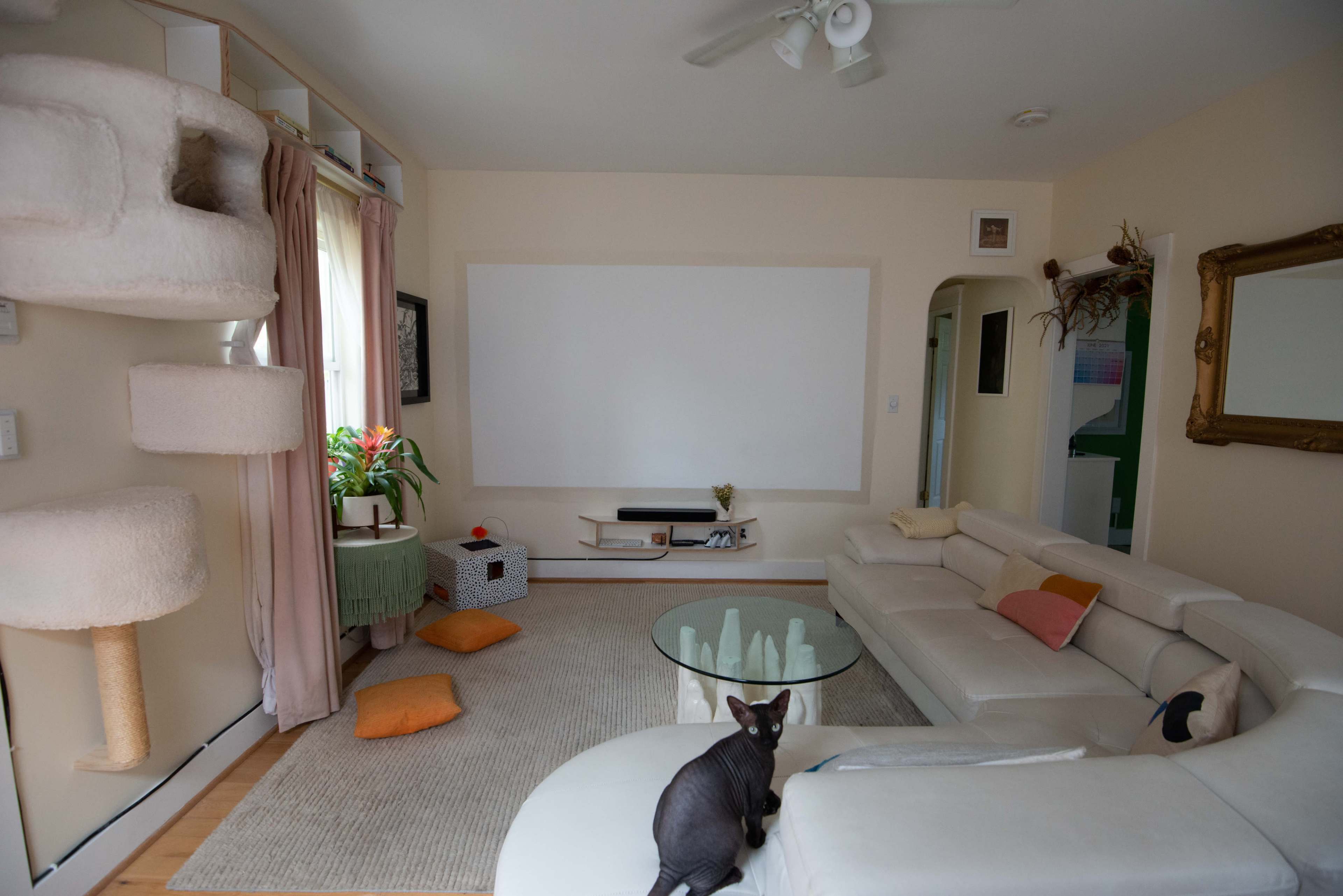 A light-colored living room features a white sectional sofa, a large blank wall for a screen, a cat sitting on a rug, and a scratching post in the corner.