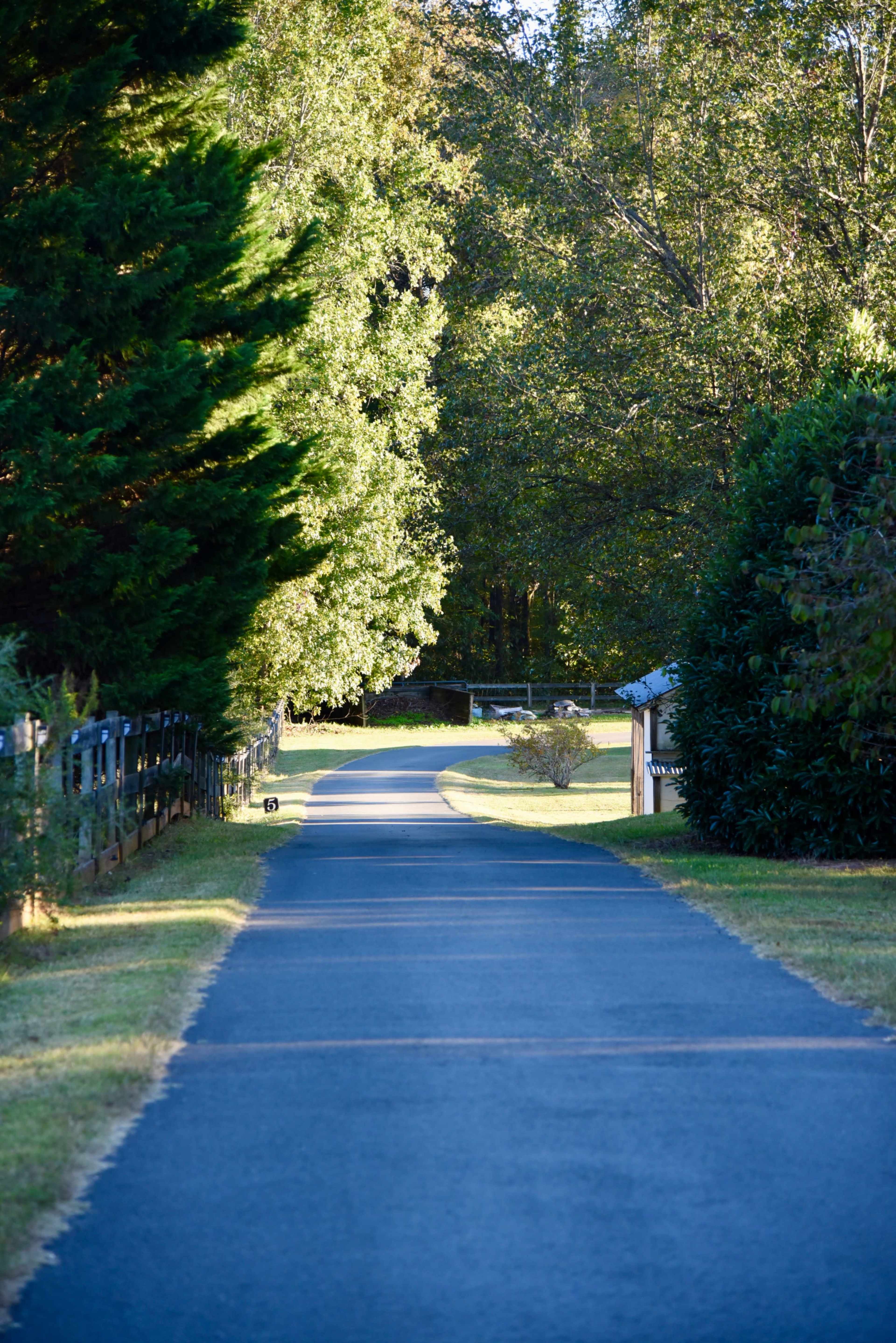 A paved pathway stretches through a tree-lined area, leading towards a distant structure.