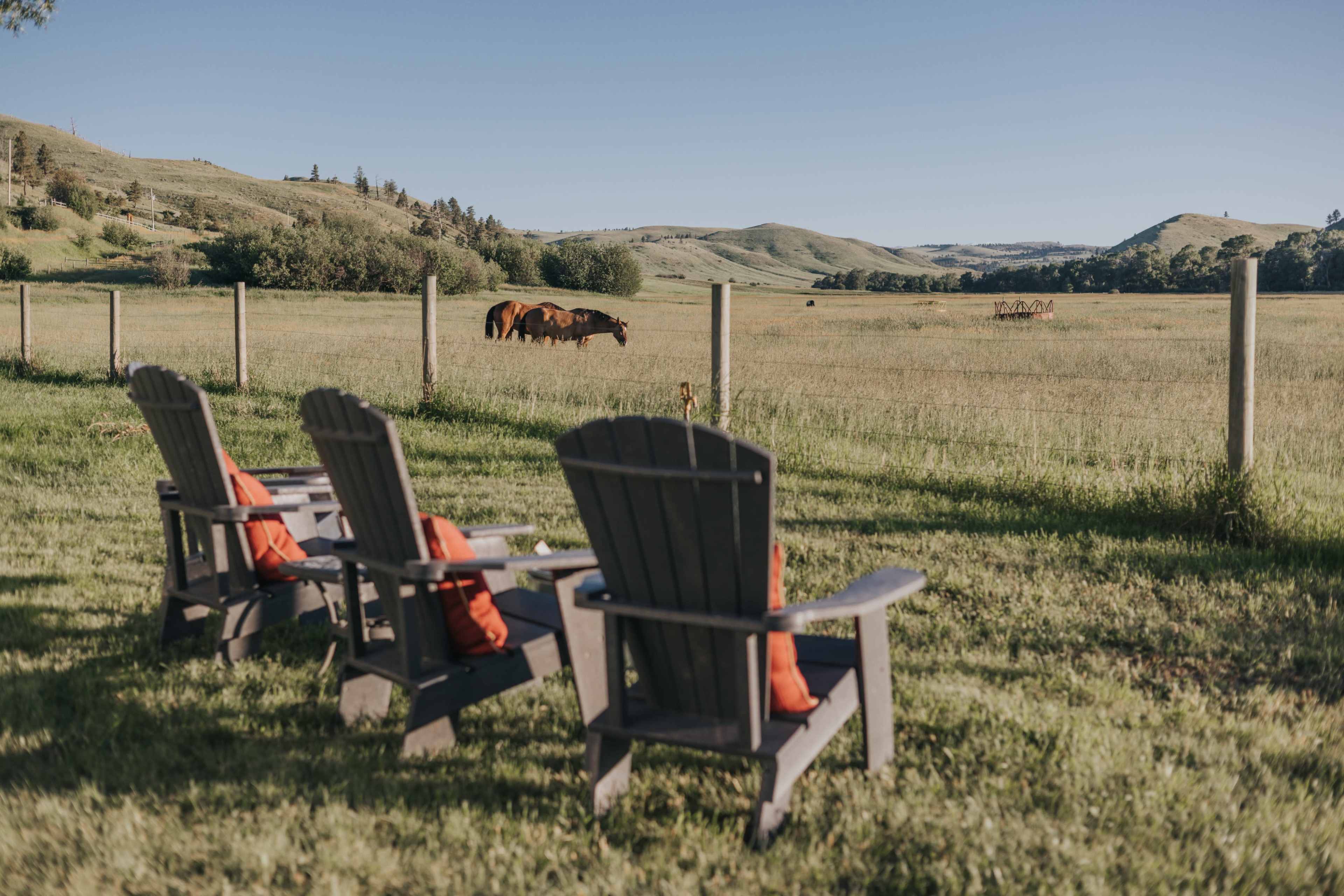 Three Adirondack chairs with orange cushions face a grassy field where horses are grazing, framed by rolling hills in the background.