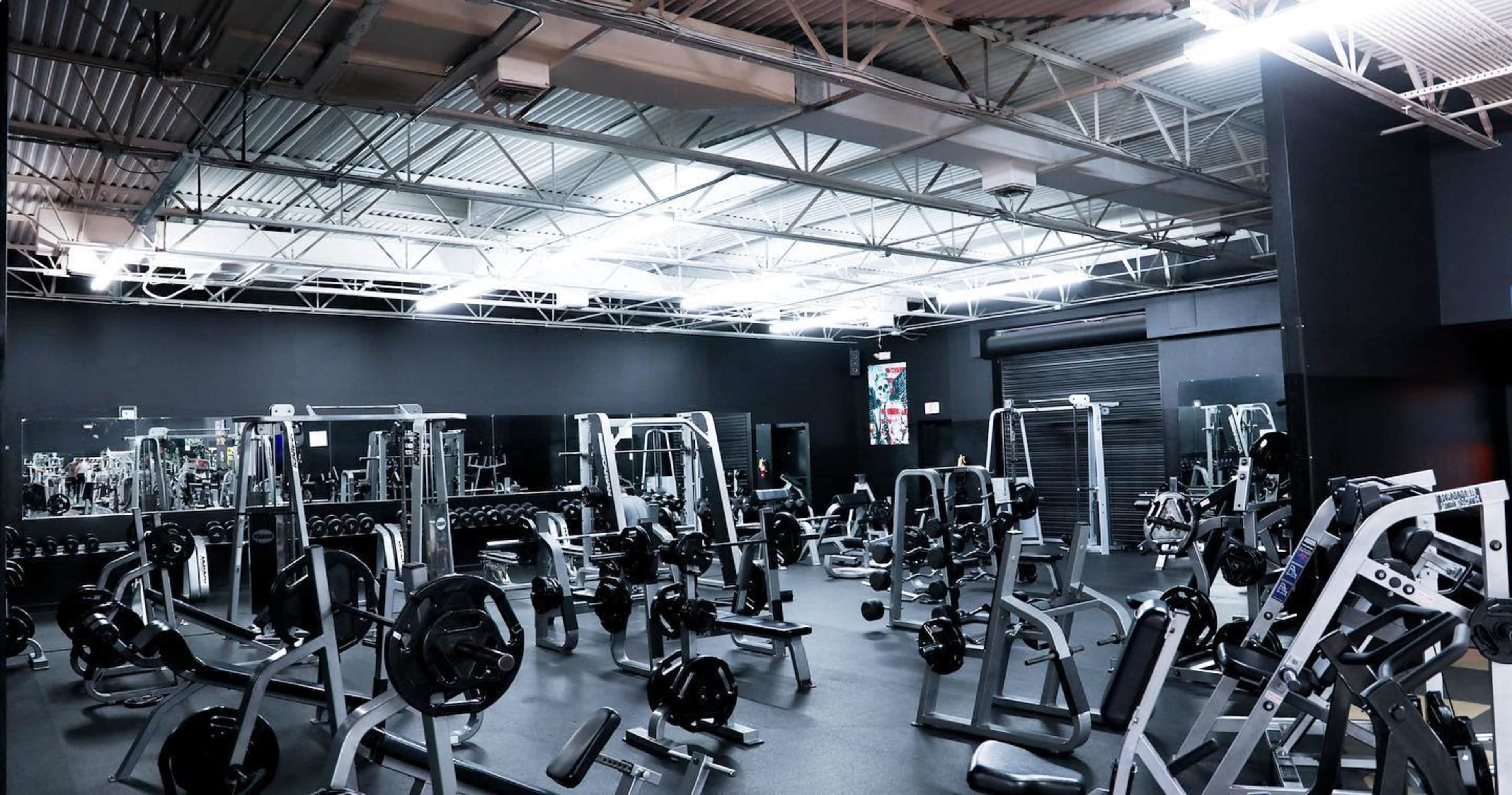 A spacious gym interior equipped with various exercise machines and free weights.