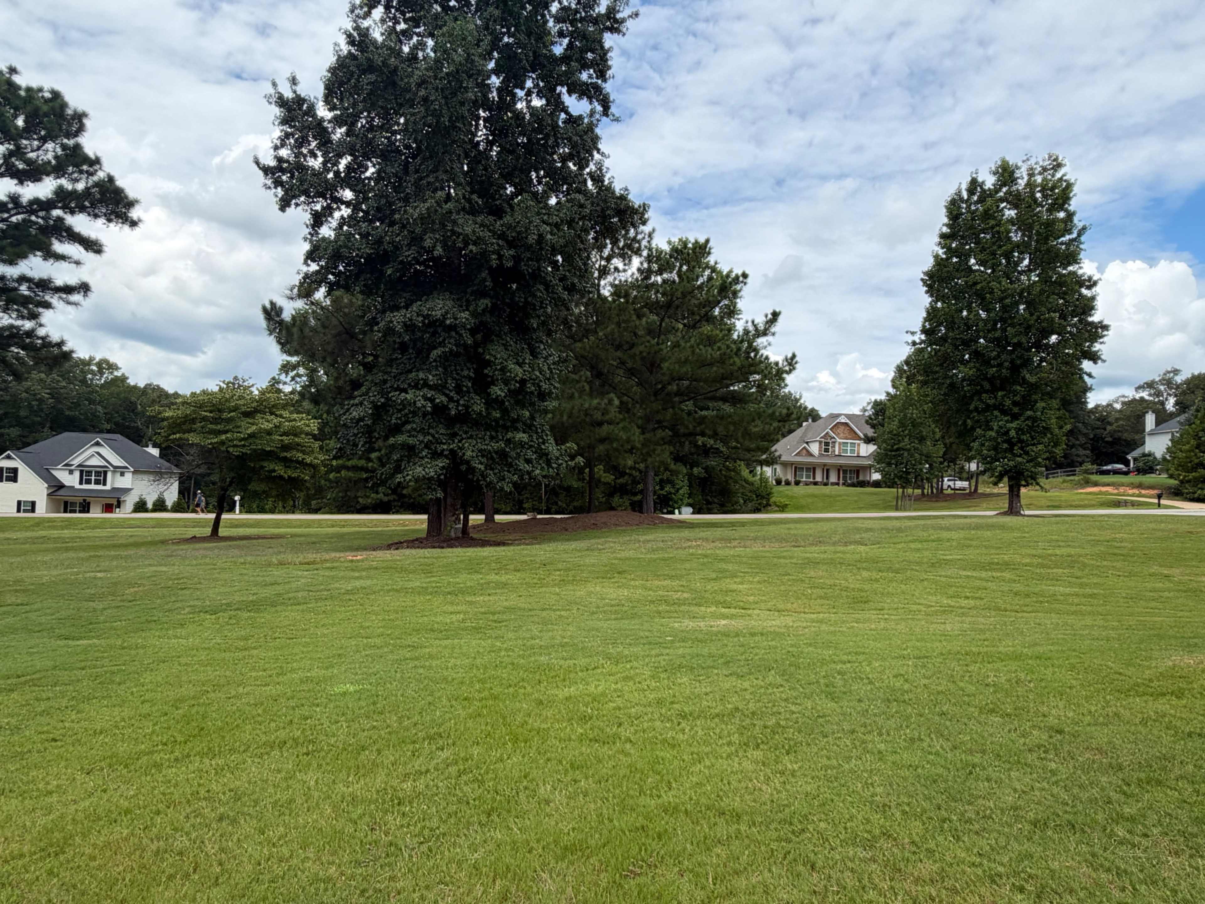 The image shows a lawn with two large trees and several houses in the background under a partly cloudy sky.