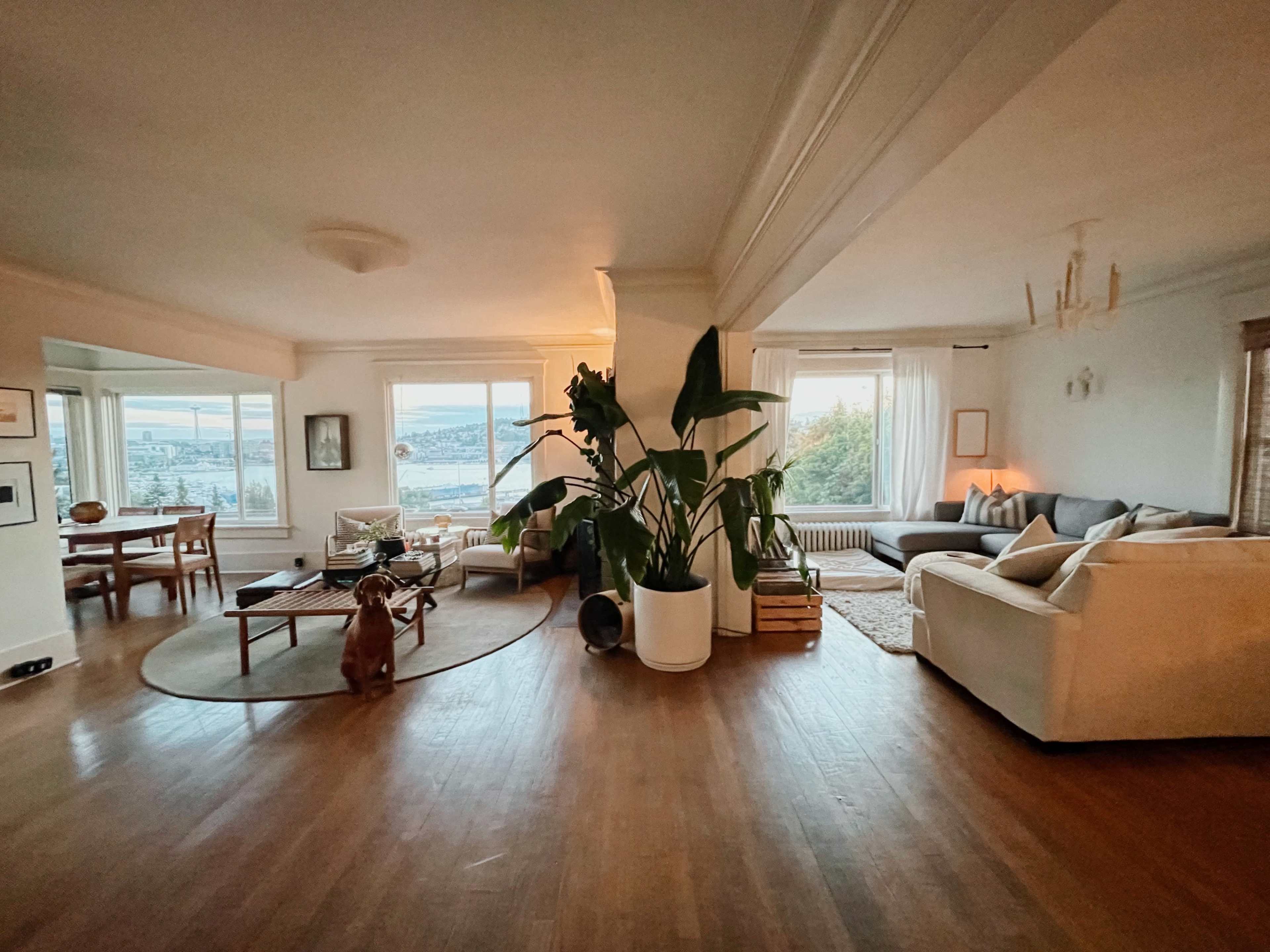 The spacious living area features a sectional sofa, large windows with a view, a round coffee table, and a dog in the foreground.