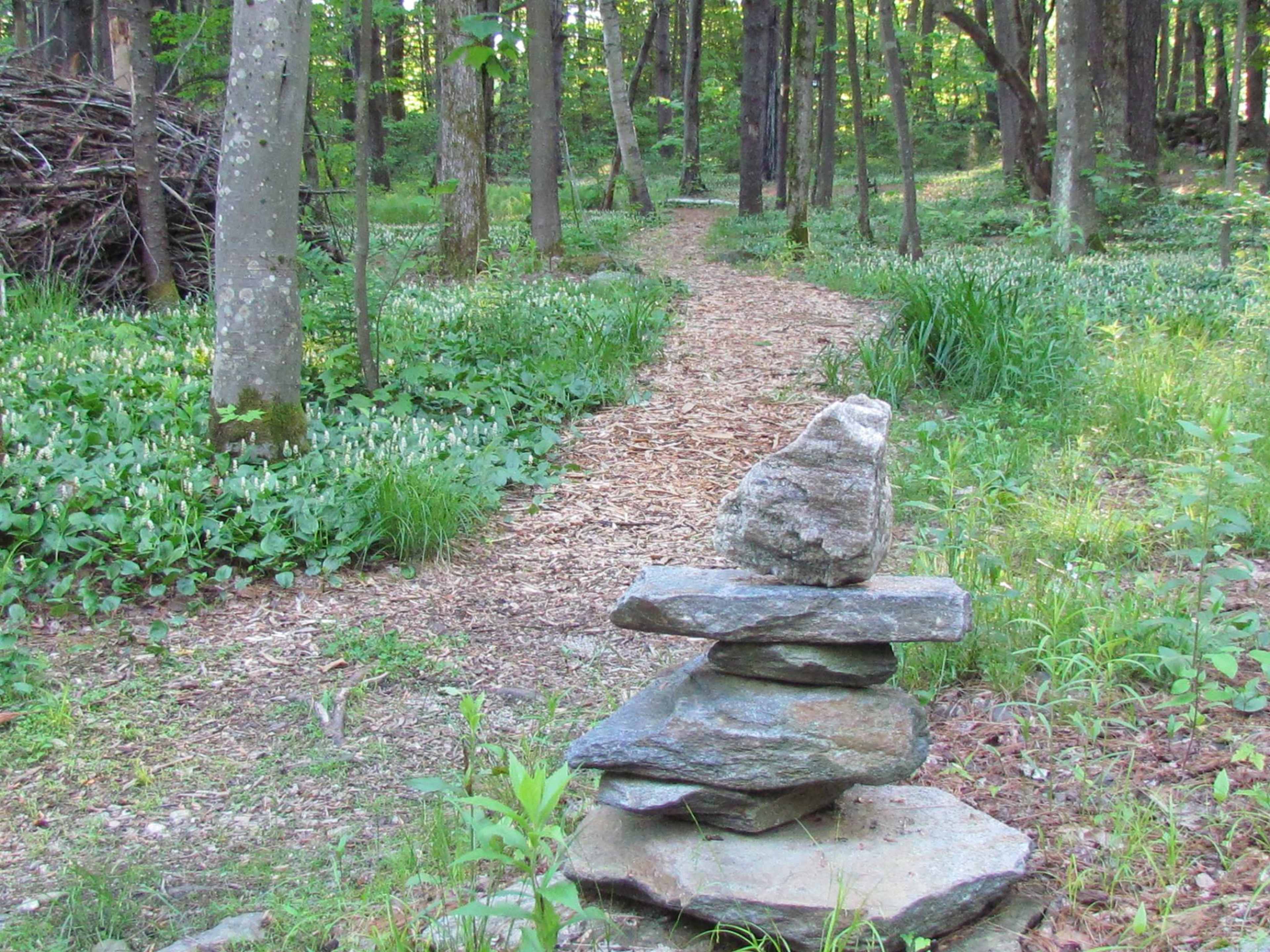 A stacked arrangement of stones is positioned beside a winding path through a wooded area filled with greenery and scattered flowers.