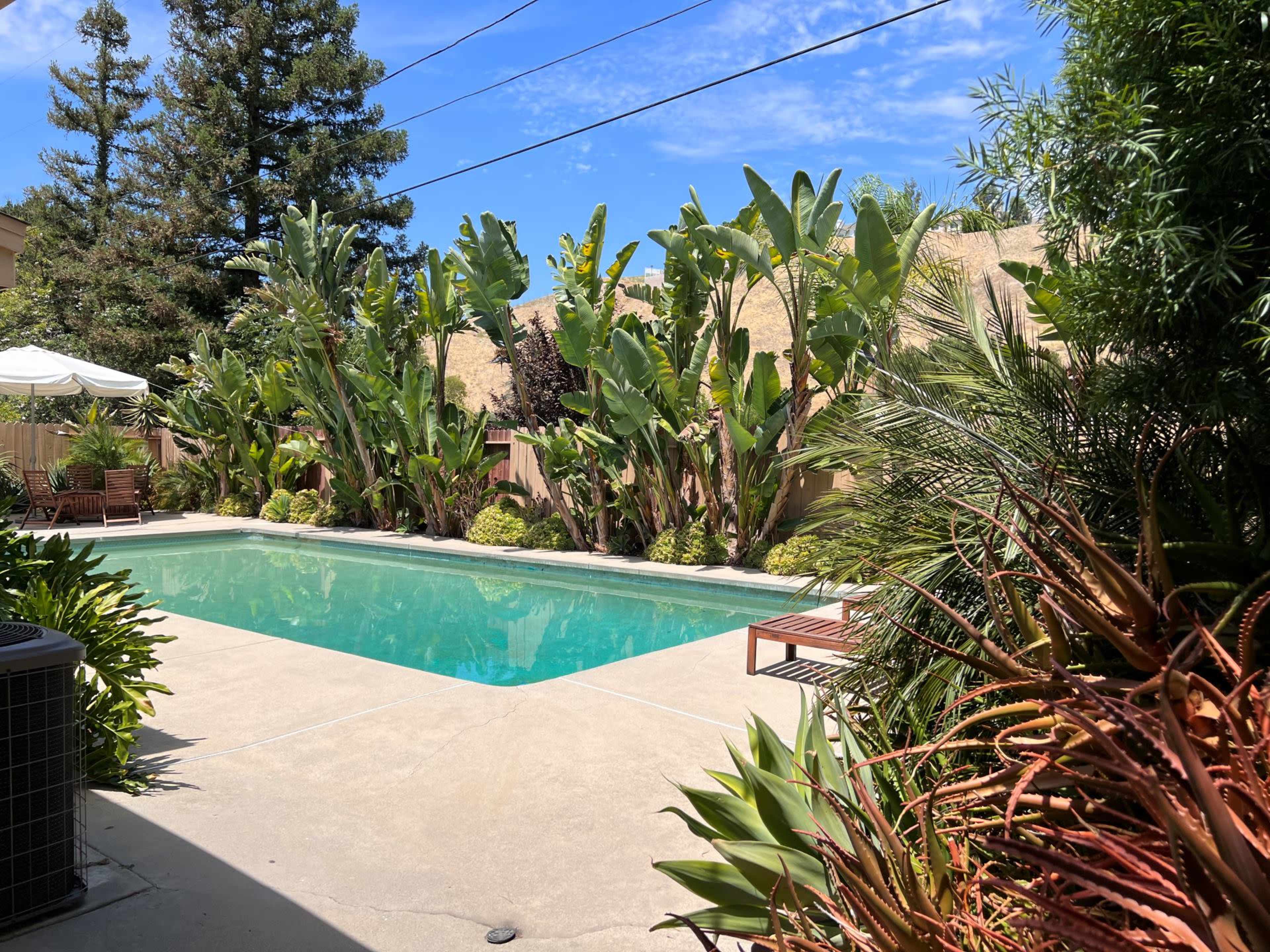 A clear pool surrounded by tropical plants and trees is visible in a sunny backyard setting.