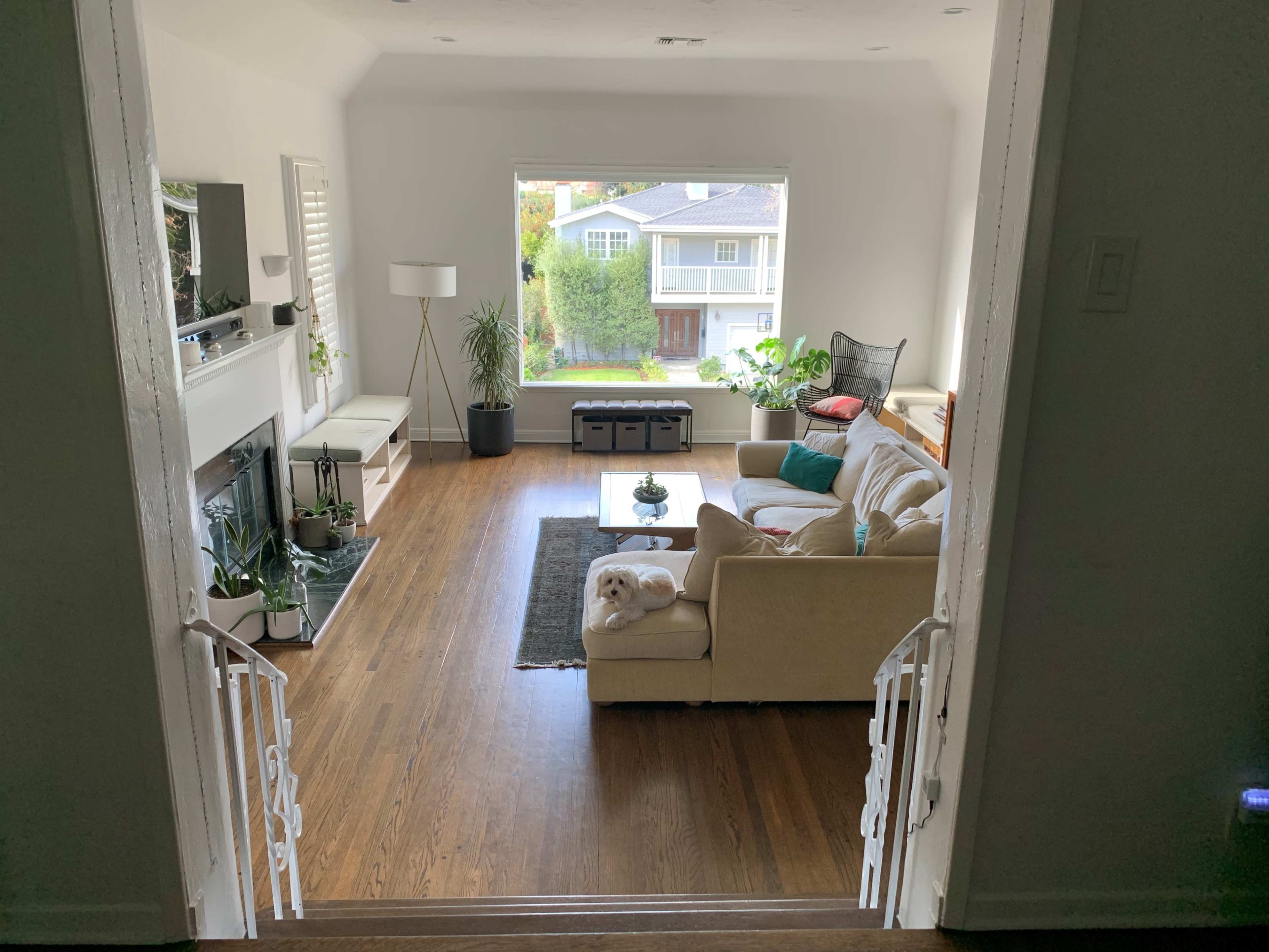 A living room features a beige couch, a coffee table, and various green plants, visible through an open doorway from a staircase.