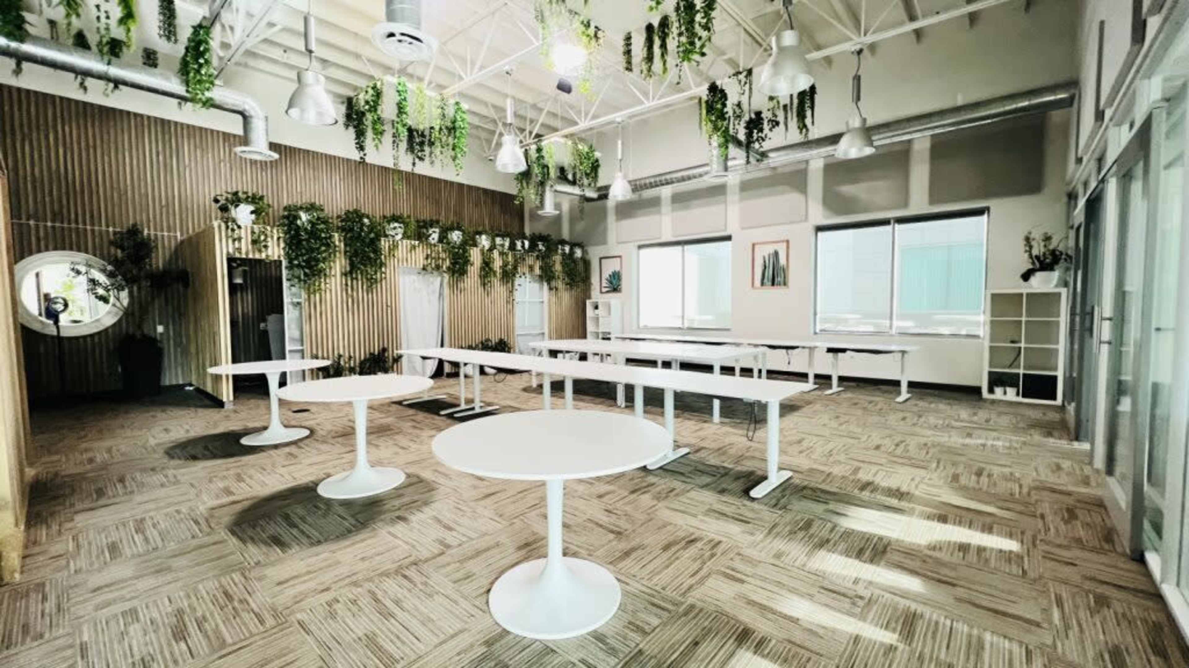 The image shows a spacious room with several round white tables, green plants along the walls, large windows, and a wood accent wall.