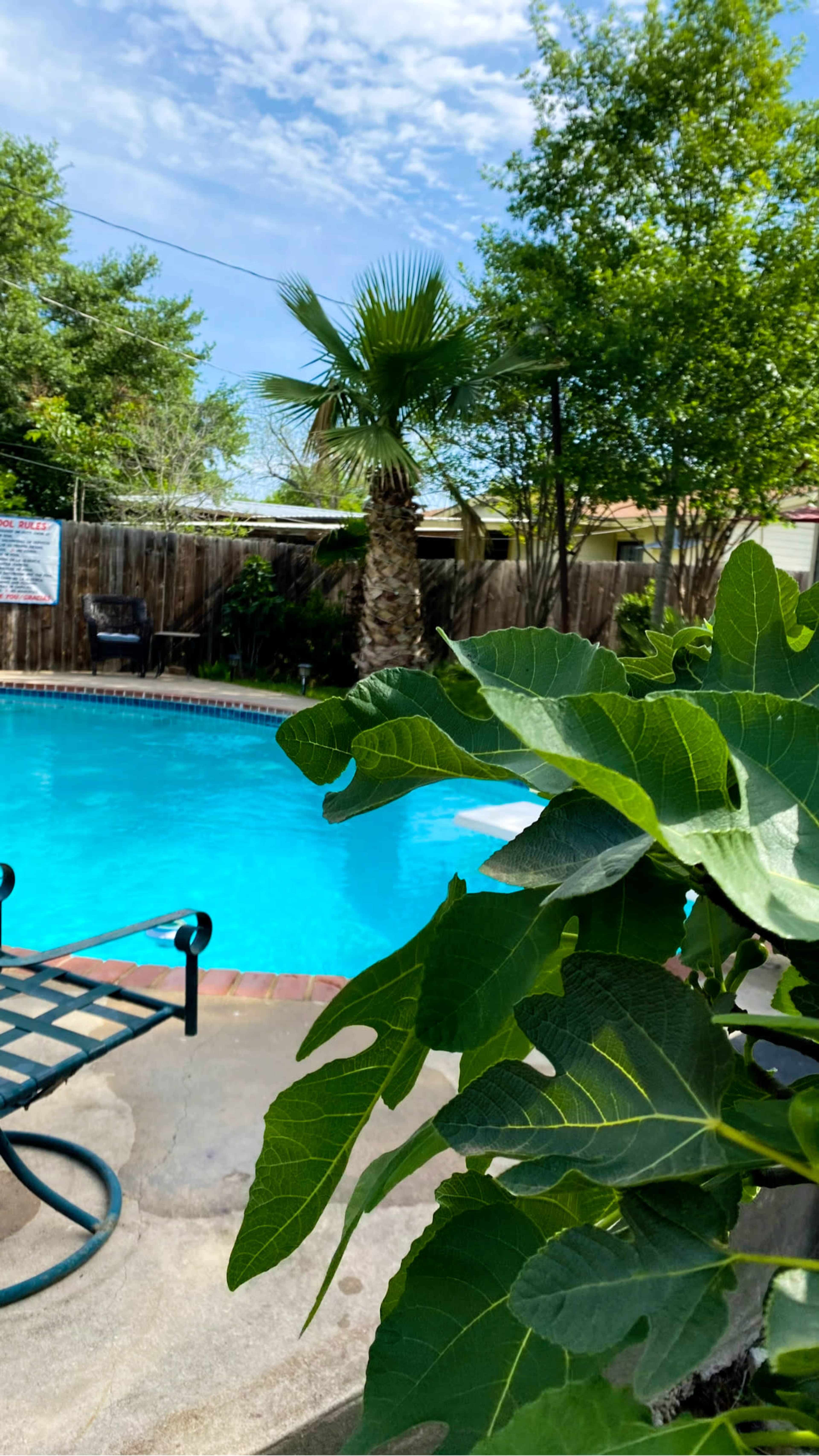 Eventos únicos , momentos inolvidables ,Unique events  Unforgettable moments Image in Highlands, San Antonio, TX