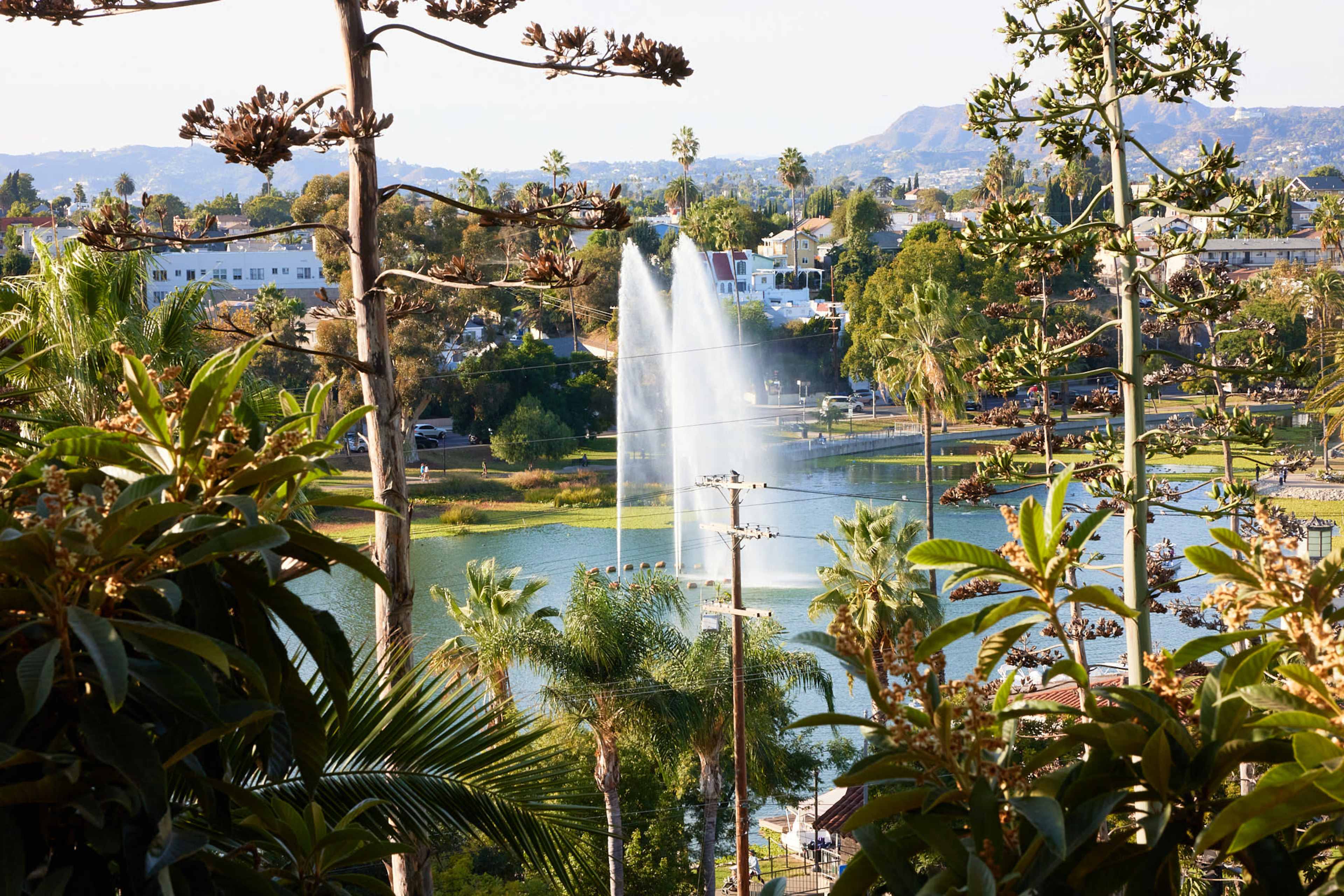 A fountain shoots water into the air in a park surrounded by greenery and residential buildings.