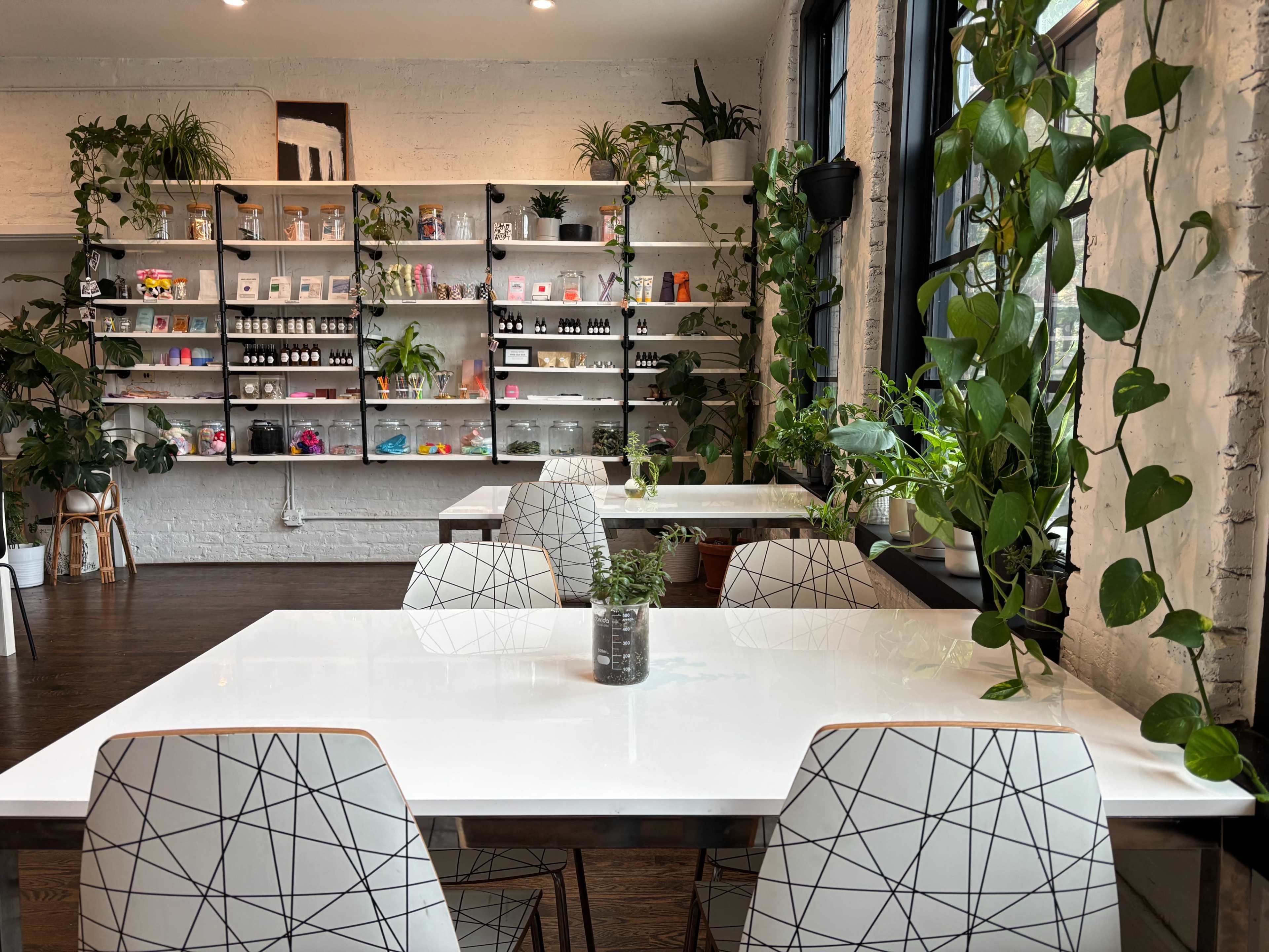 The image shows a modern café interior with white tables and geometric chairs, surrounded by shelves displaying various colorful products and numerous green plants throughout the space.