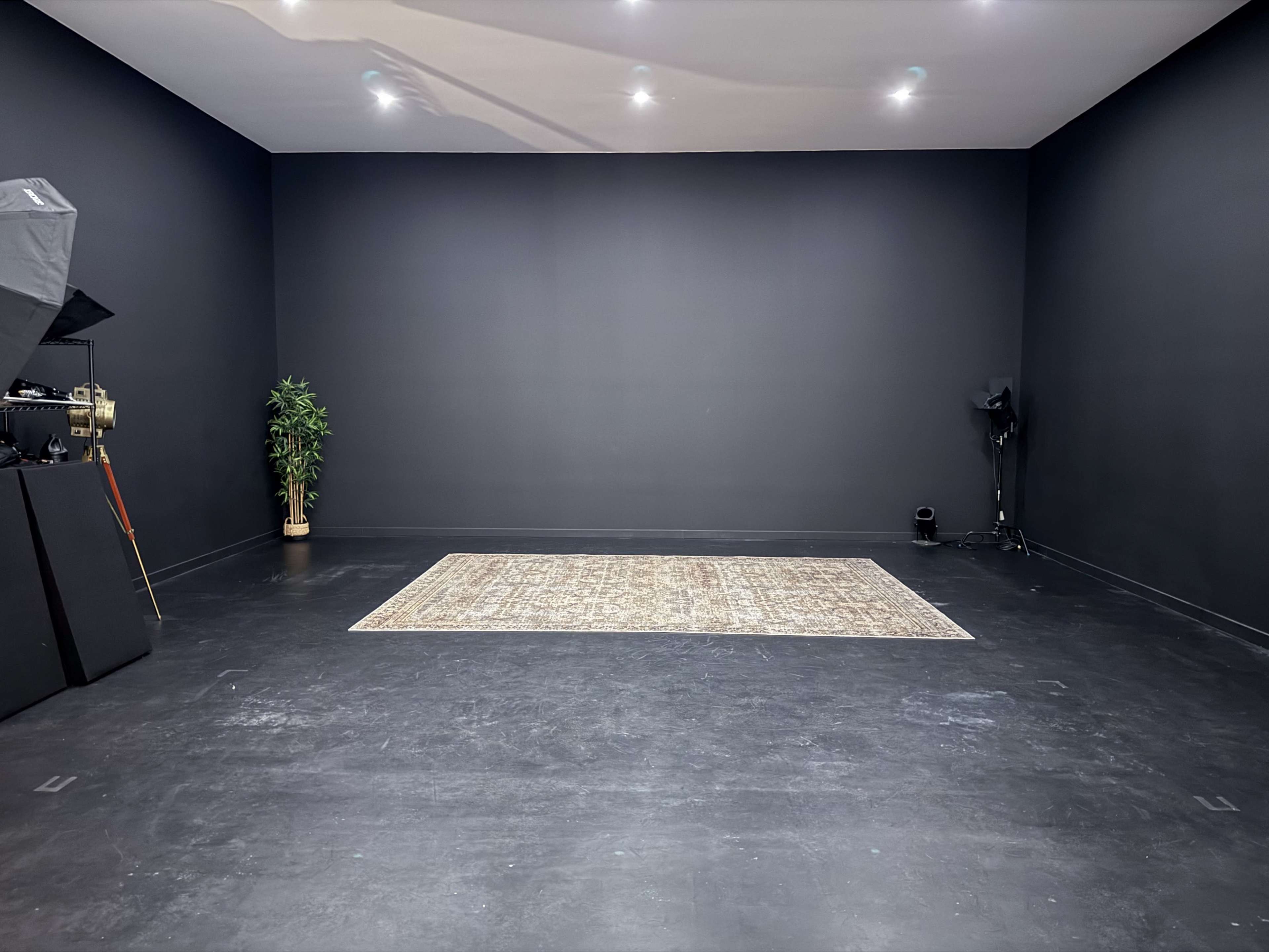 The image shows an empty room with a black backdrop, a decorative rug in the center, and studio lighting equipment in the corners.