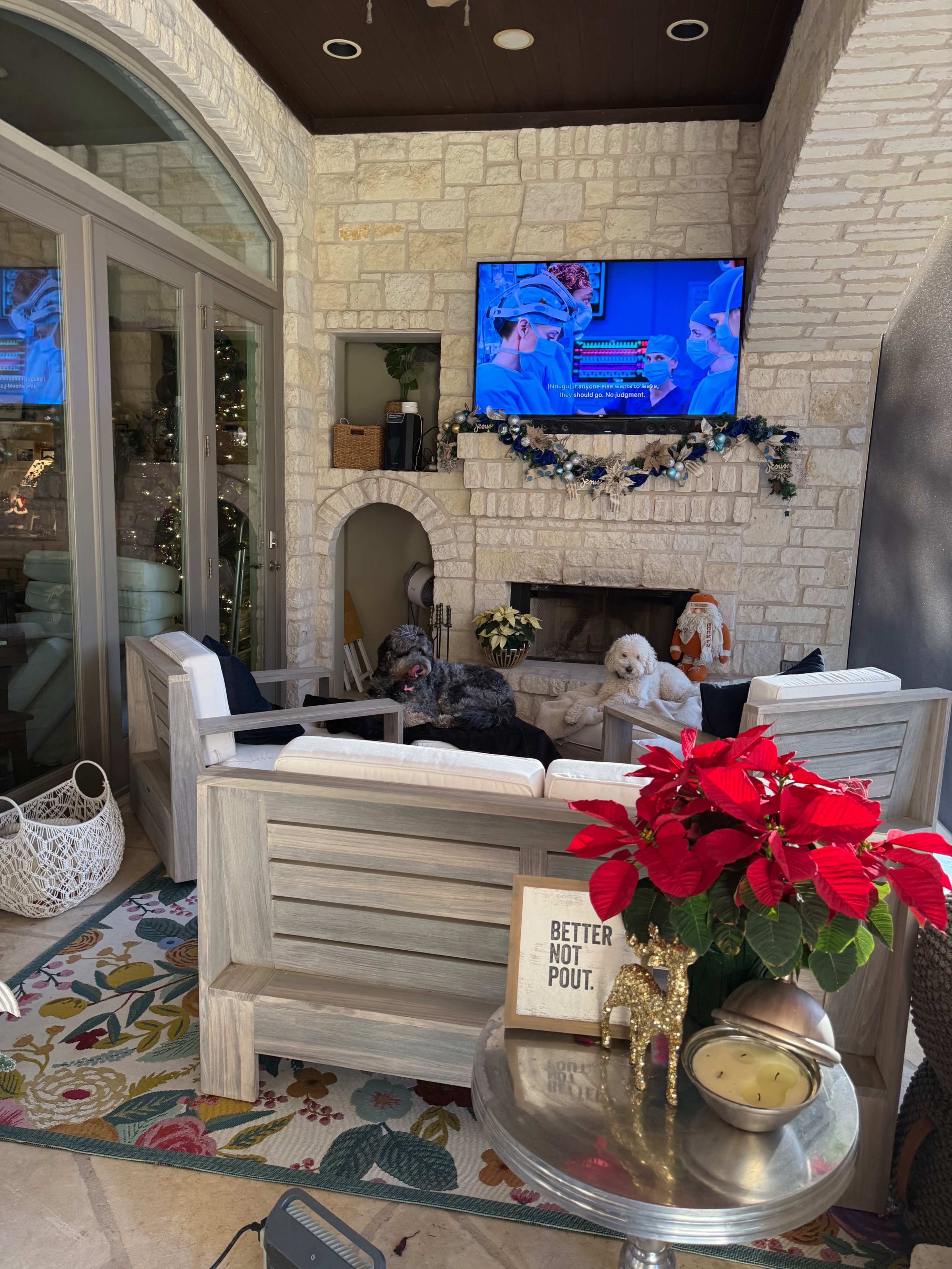 The image shows a cozy outdoor seating area with two dogs, a television displaying medical professionals, and a decorative poinsettia on a table.