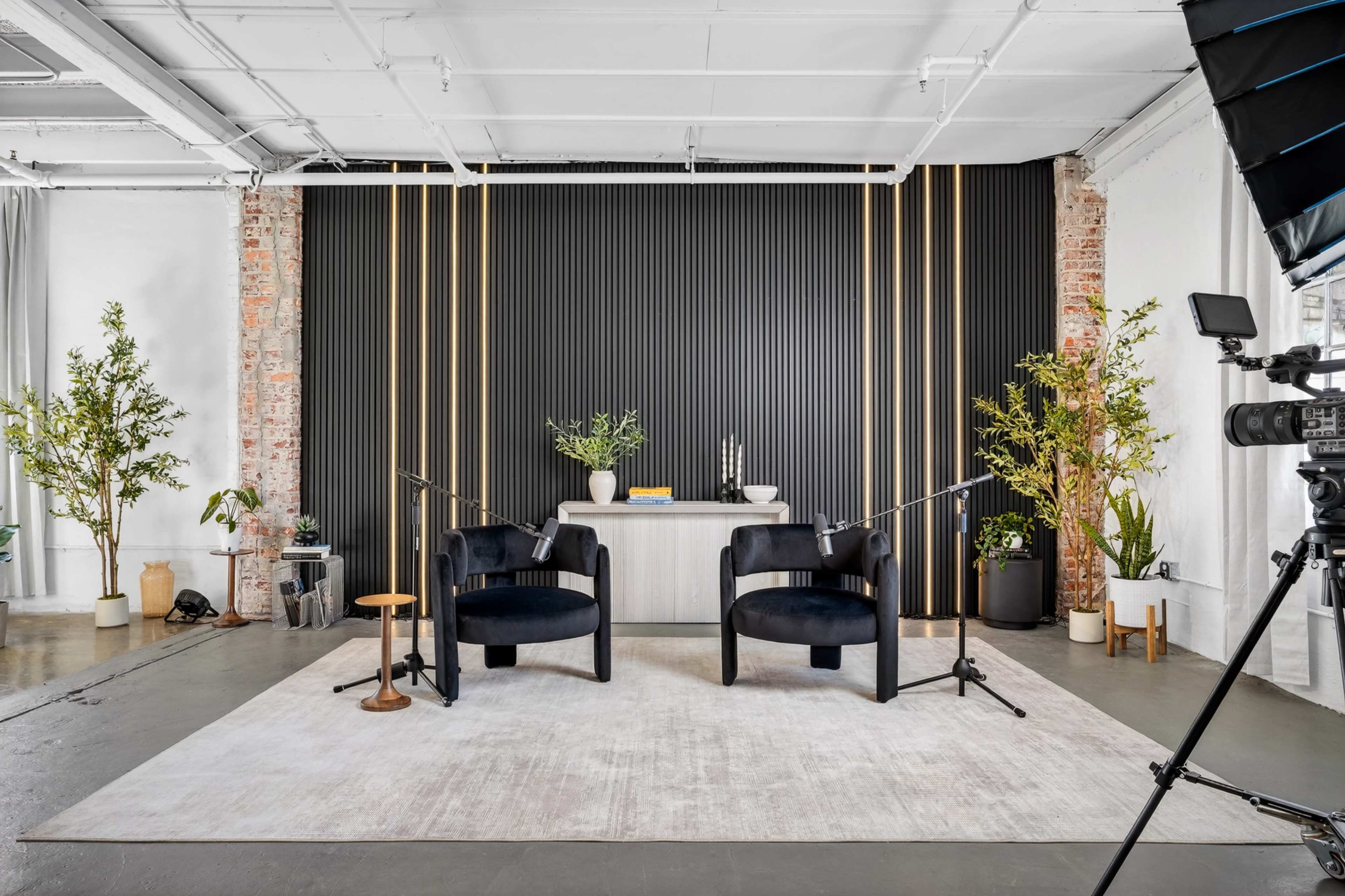 The image shows a modern interior setup featuring two black chairs facing a minimalistic counter, with plants and decorative items in the background.