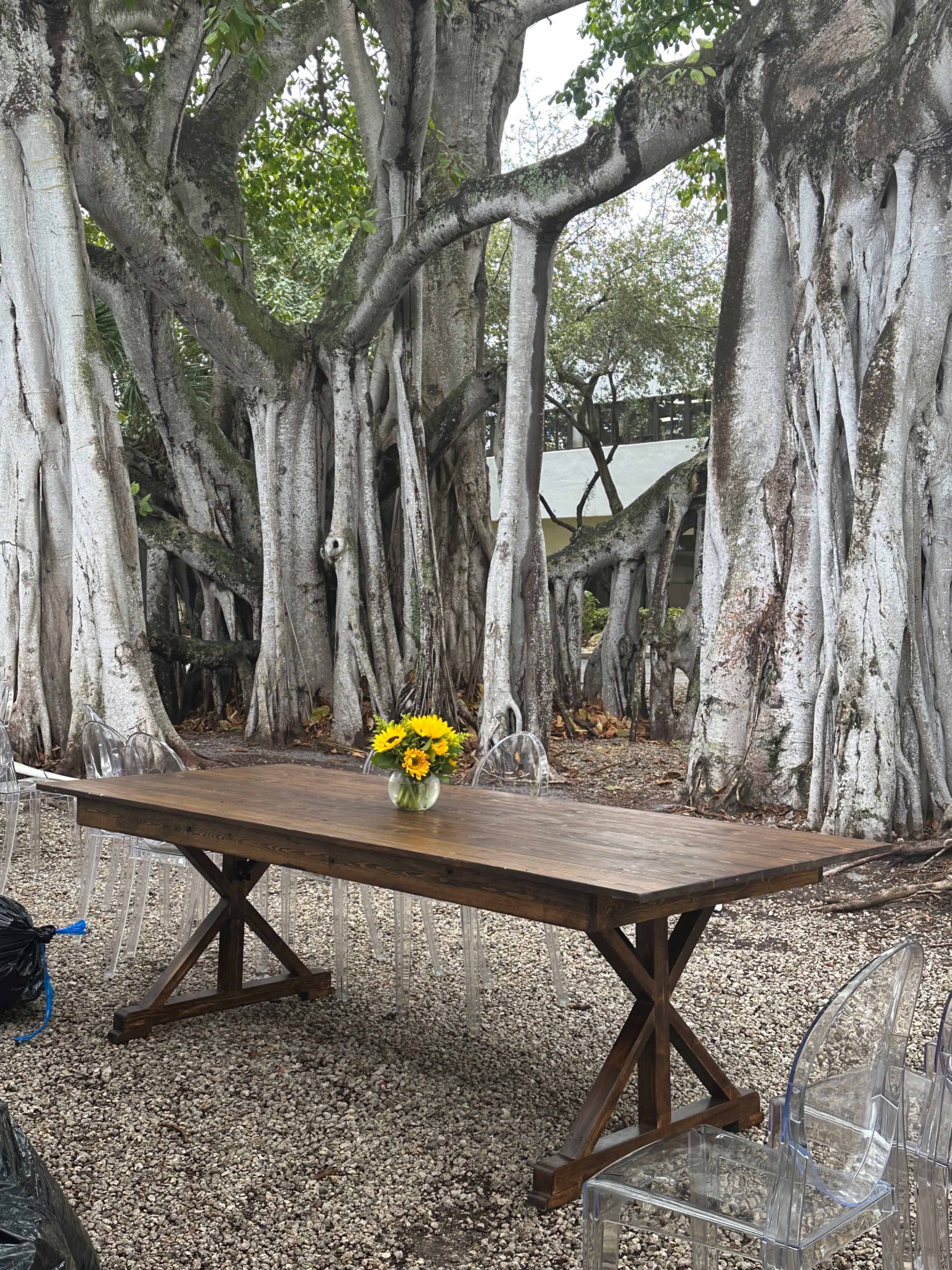 A wooden dining table with a vase of flowers is positioned among large, white-barked trees in a gravel outdoor setting.