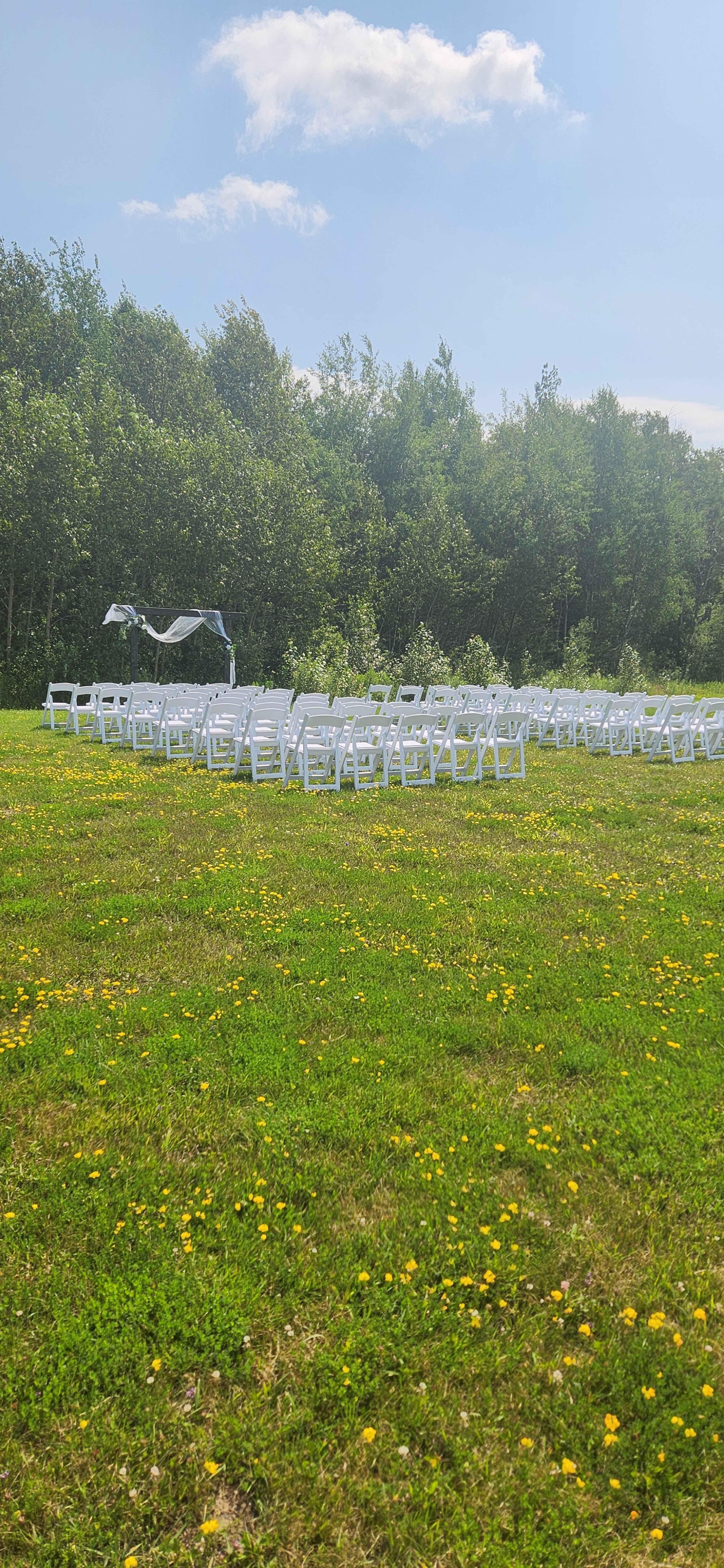 A set of white chairs arranged in a circular formation on a grassy field, with a backdrop of trees and a blue sky.