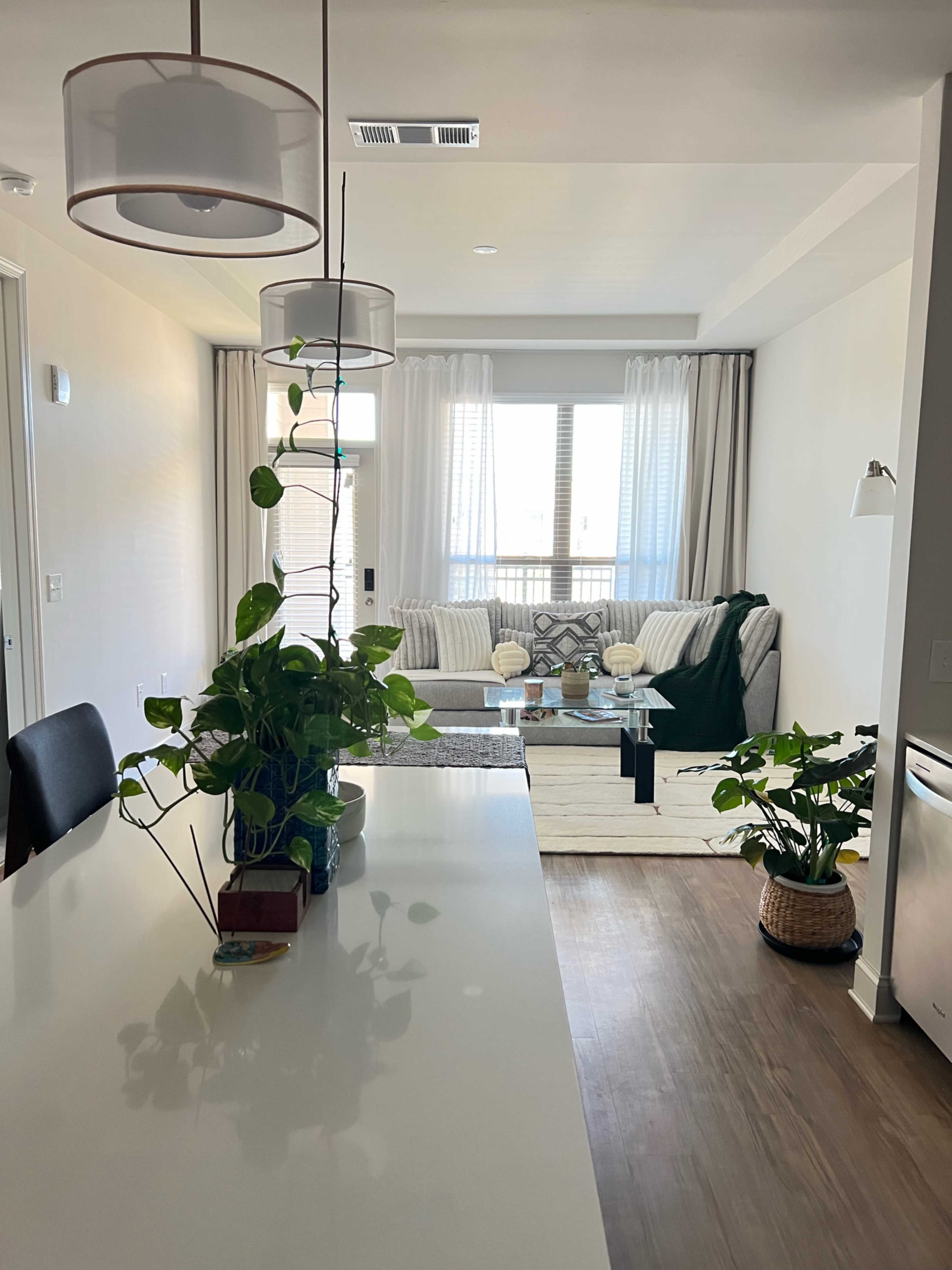 Woodstock Luxury Flat Image in , Woodstock, GA