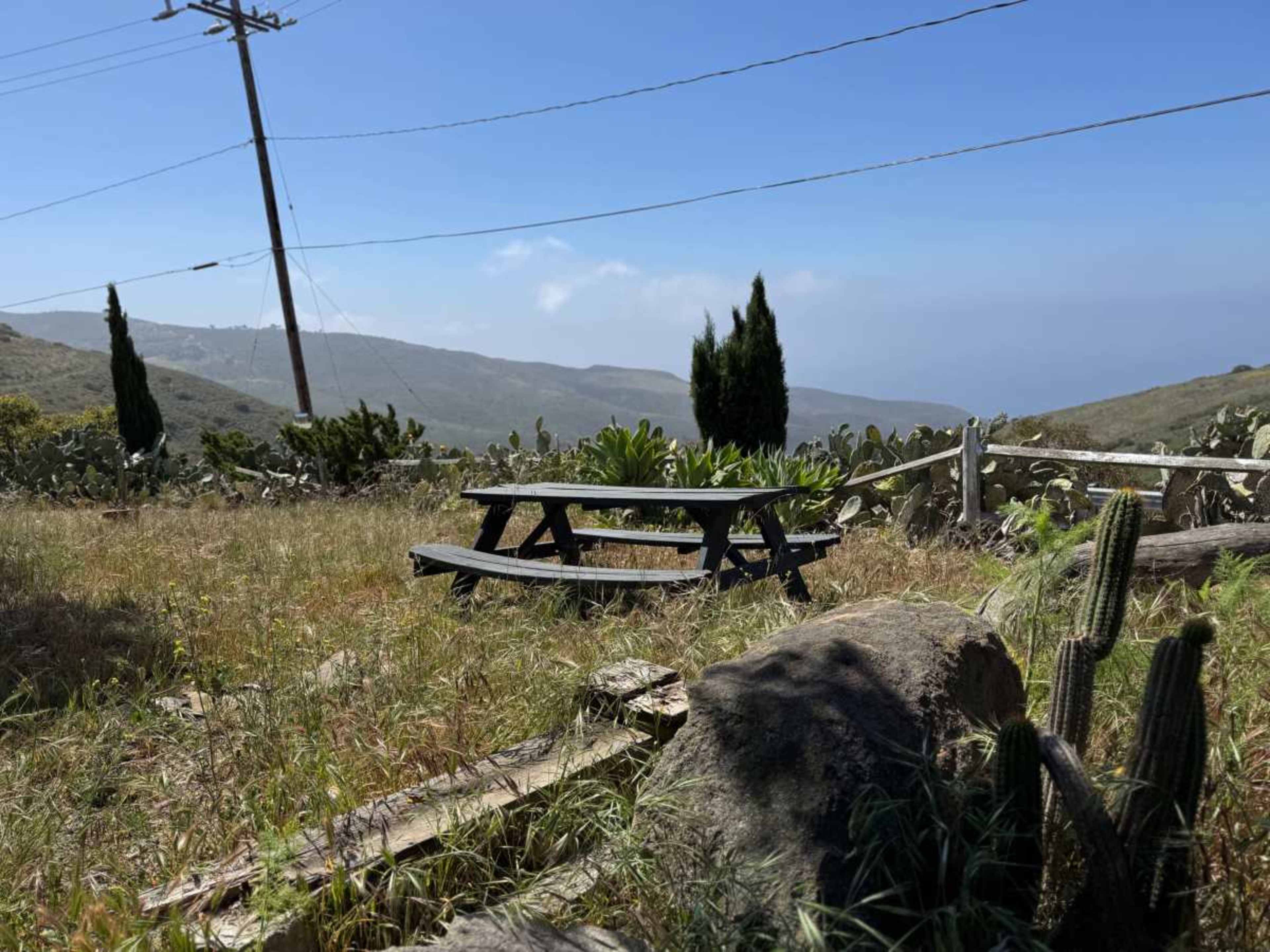 A wooden picnic table sits among tall grass and cacti with a mountainous landscape and a clear blue sky in the background.
