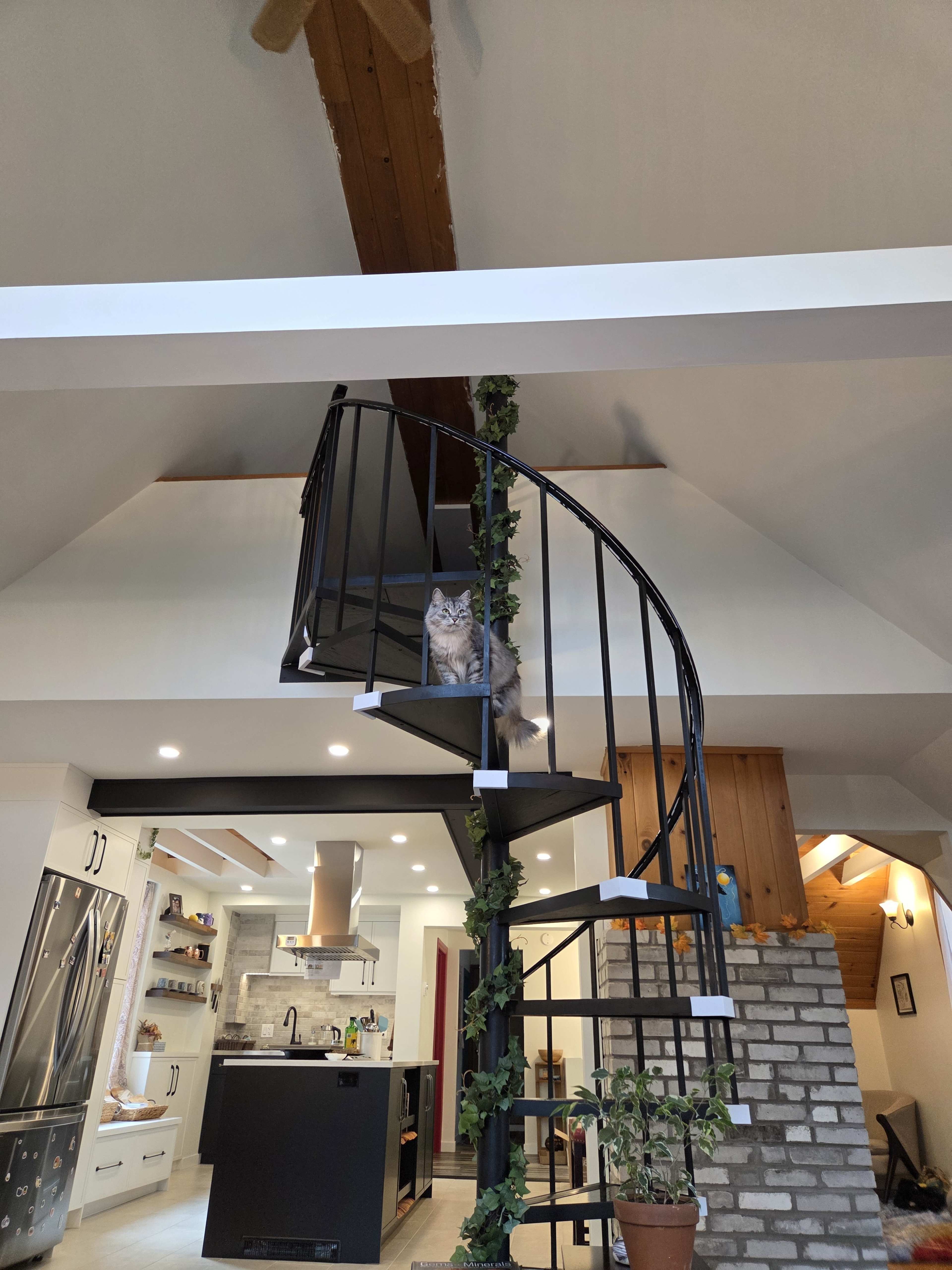 A spiral staircase adorned with greenery leads to a second level, while a cat sits on the stairs overlooking a modern kitchen below.
