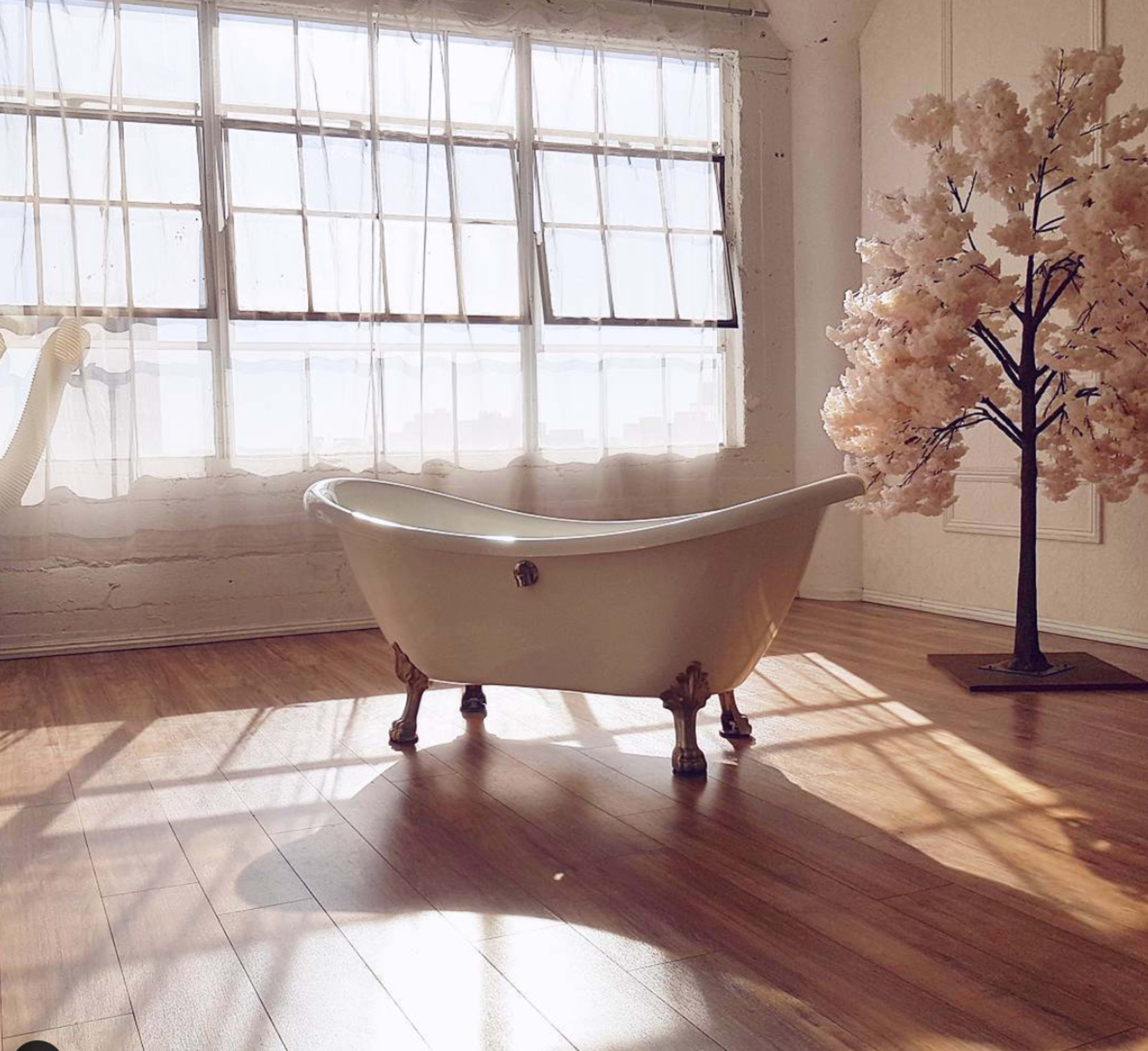 A white clawfoot bathtub in a sunlit room with large windows and a pink cherry blossom tree in the corner.