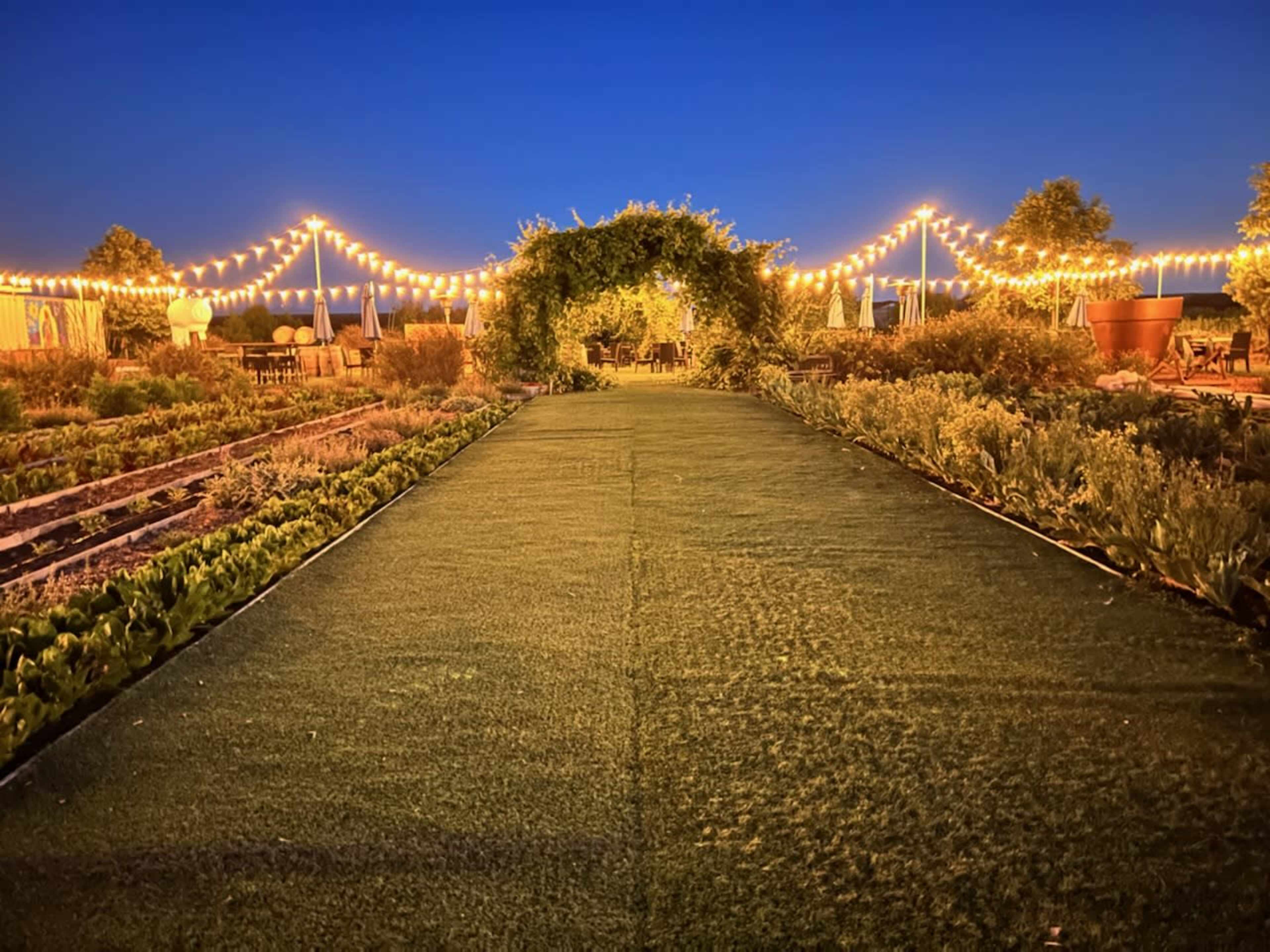 A pathway lined with artificial grass, leading through an archway covered in greenery, illuminated by string lights under a twilight sky.