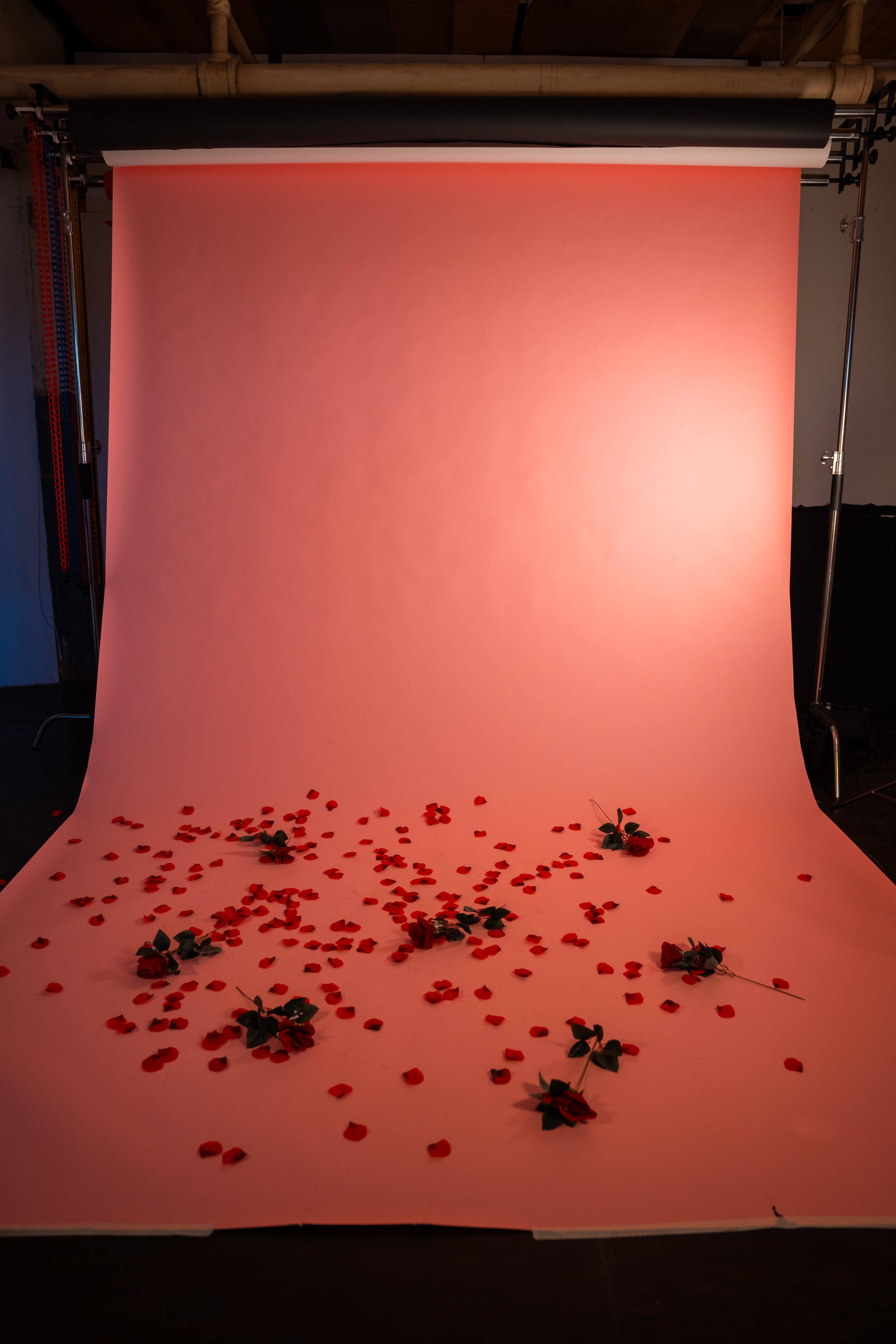 Mid-century modern photography studio Image in Camp Washington, Cincinnati, OH