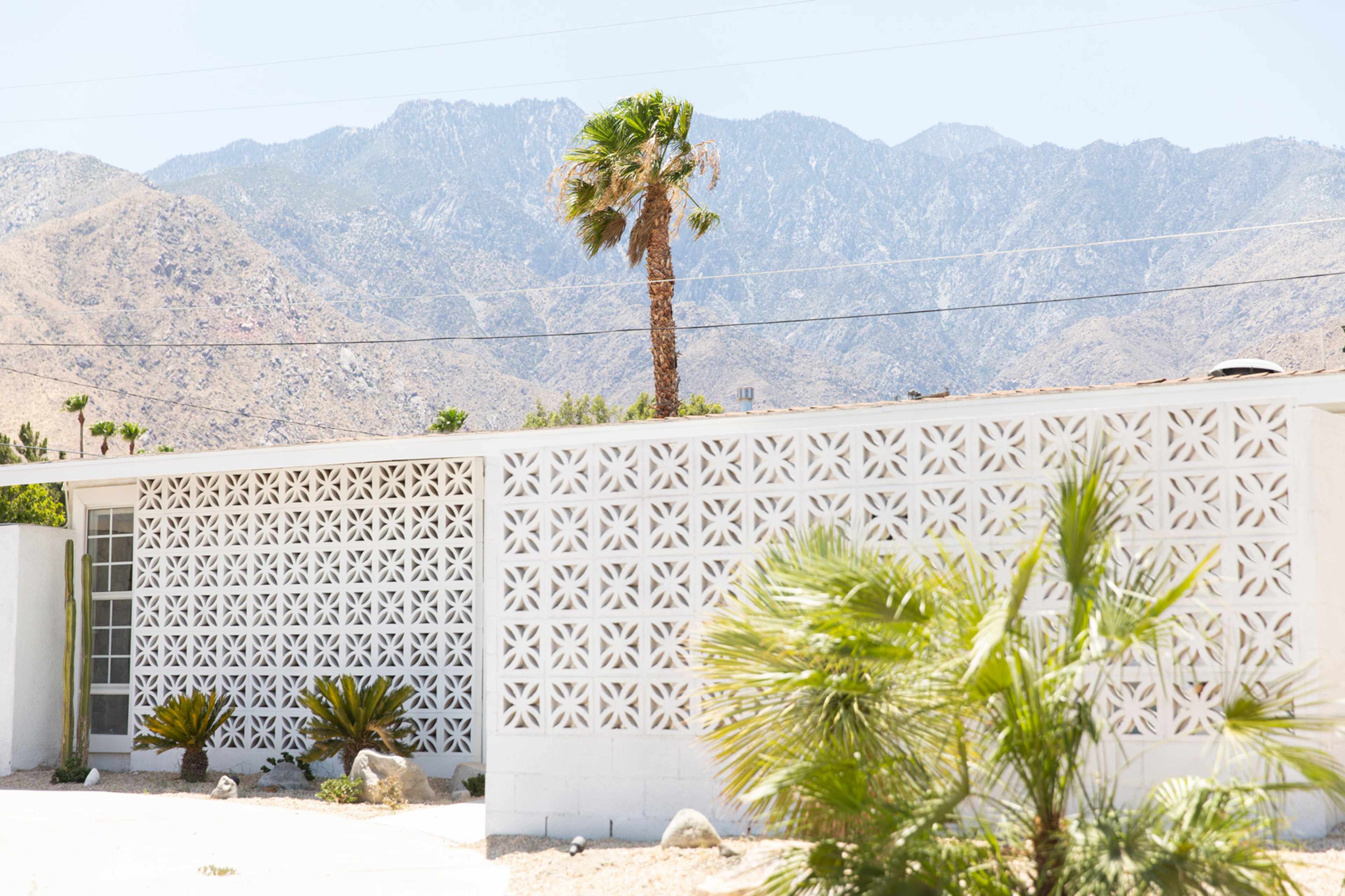 A patterned concrete block wall surrounds a desert landscape with a tall palm tree and mountains in the background.