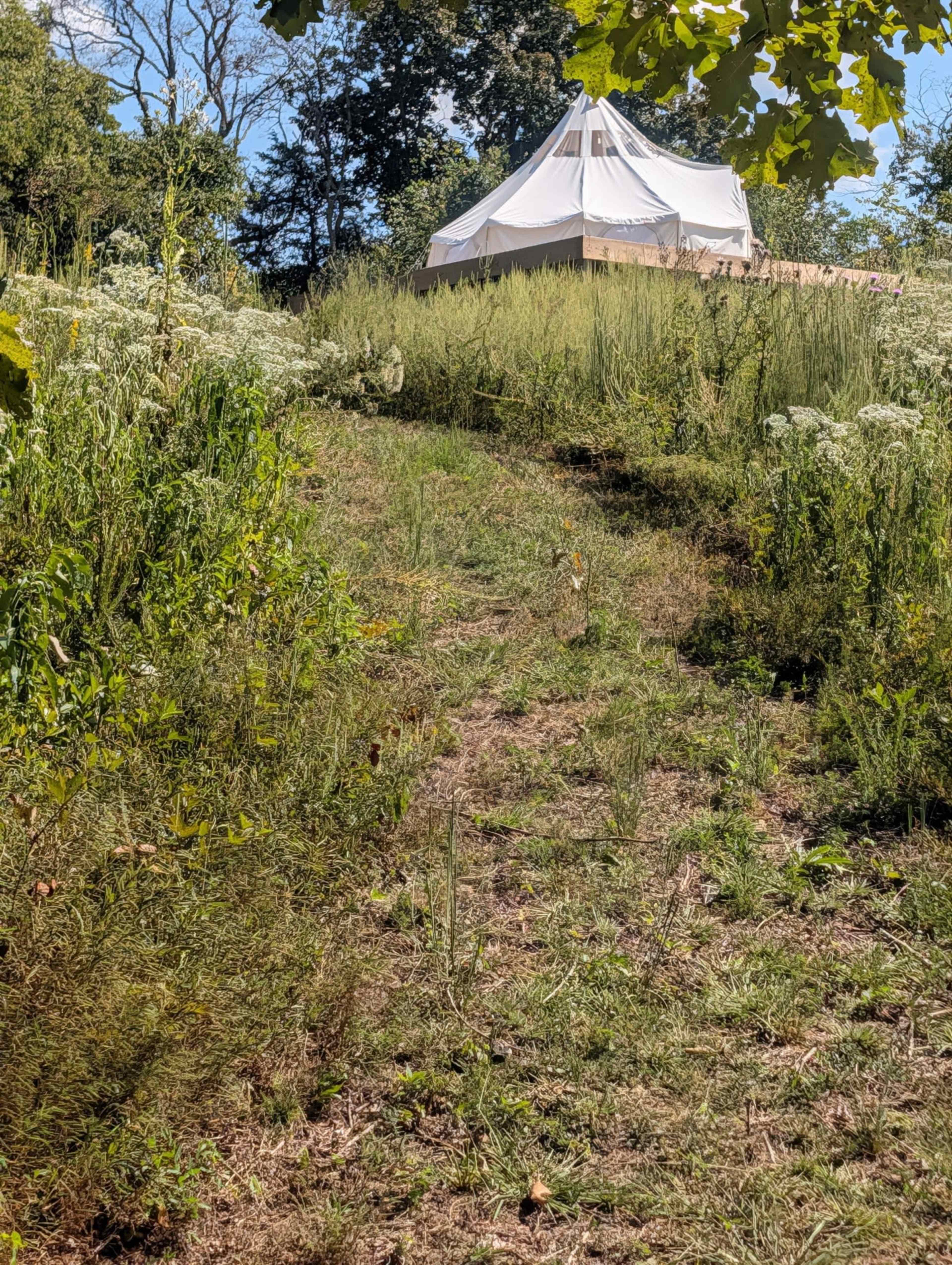 A large white tent is situated on a grassy hill surrounded by tall plants and trees.