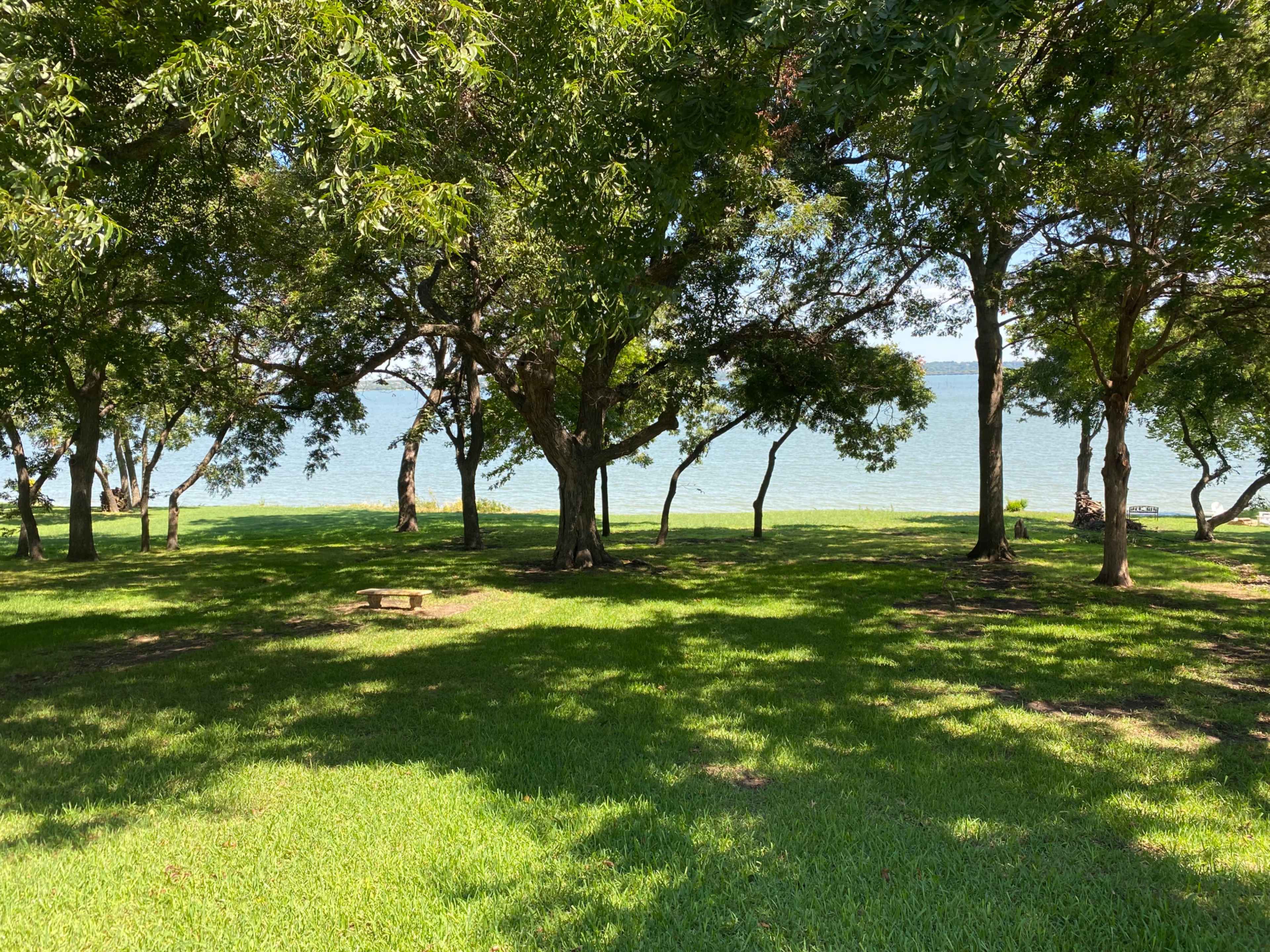 A grassy area shaded by trees with a view of a body of water in the background.
