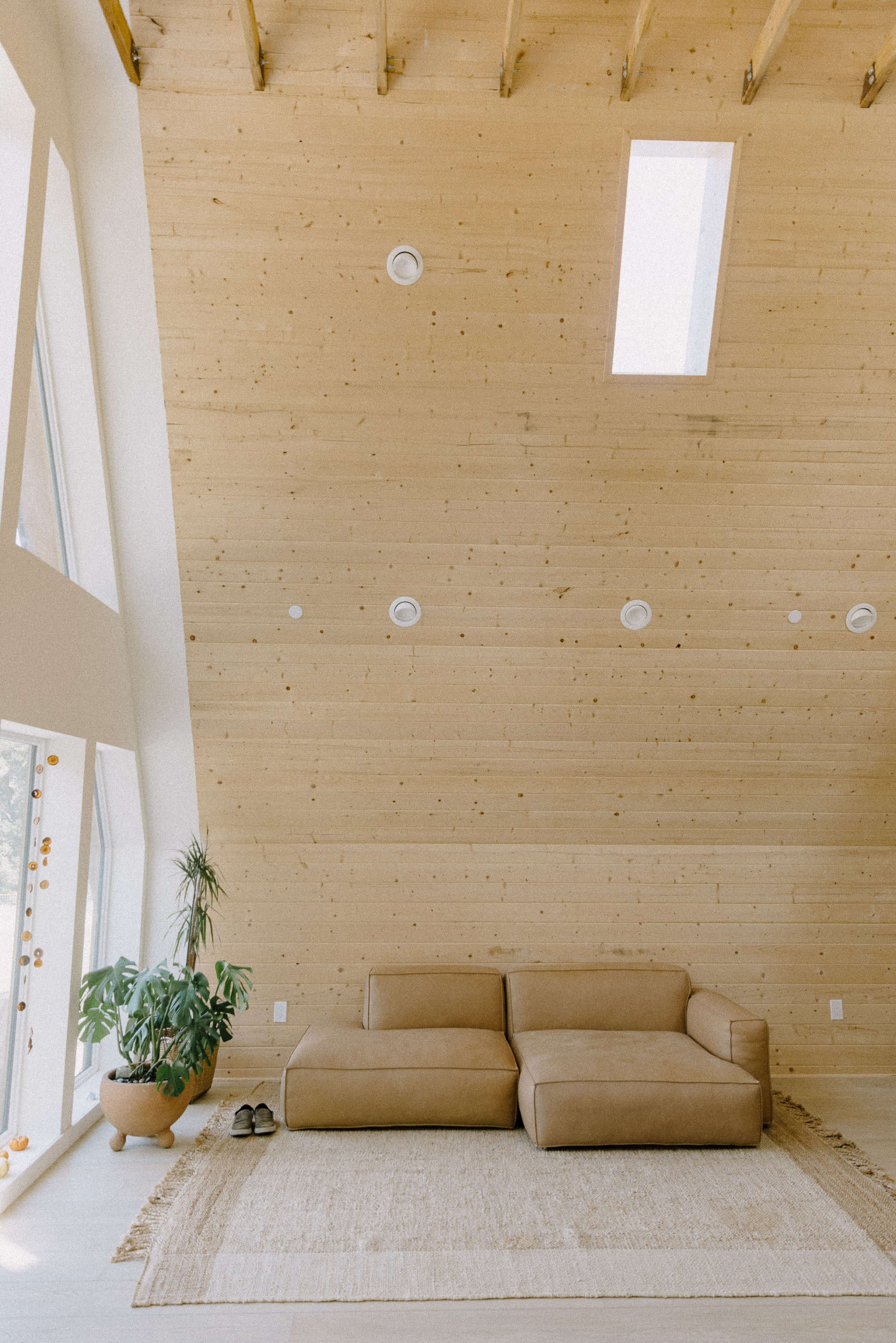 The image depicts a minimalist living room with a light-colored wooden slanted ceiling, a tan sectional sofa, a woven area rug, and a potted plant in a terracotta pot.